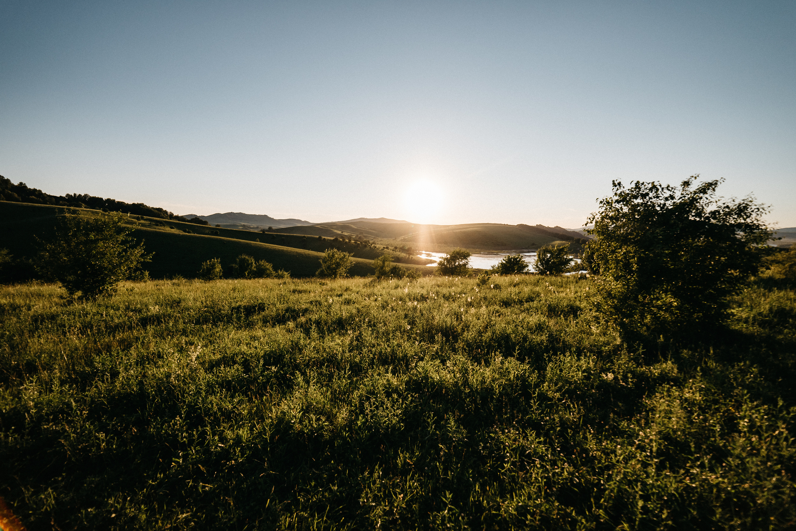 Love Story. Женя и Роман. Свадебная  съемка на Алтае