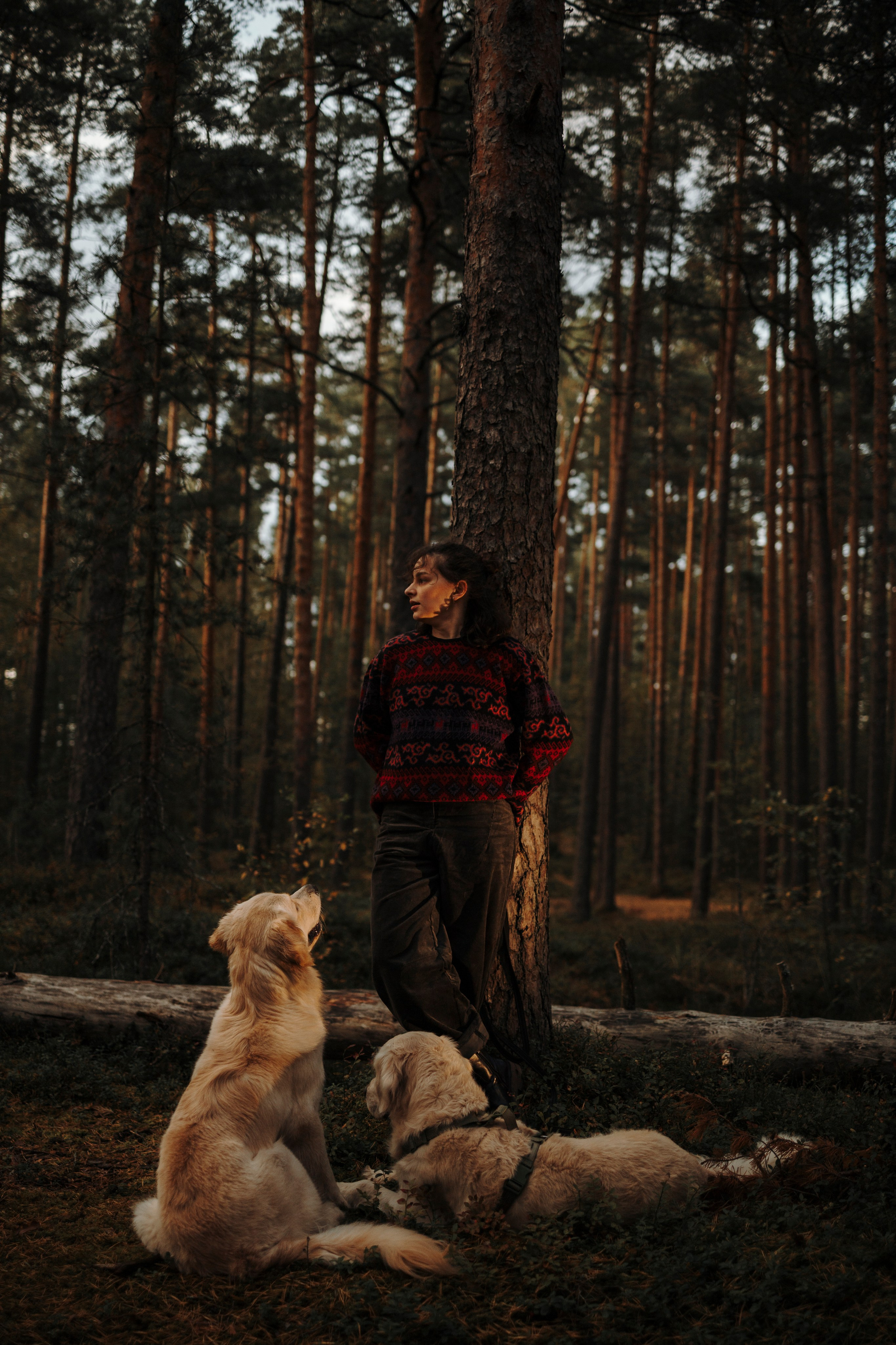 Прогулка Насти с Арчи и Арагоном. Фотограф-анималист в Санкт-Петеребурге Титова Алиса