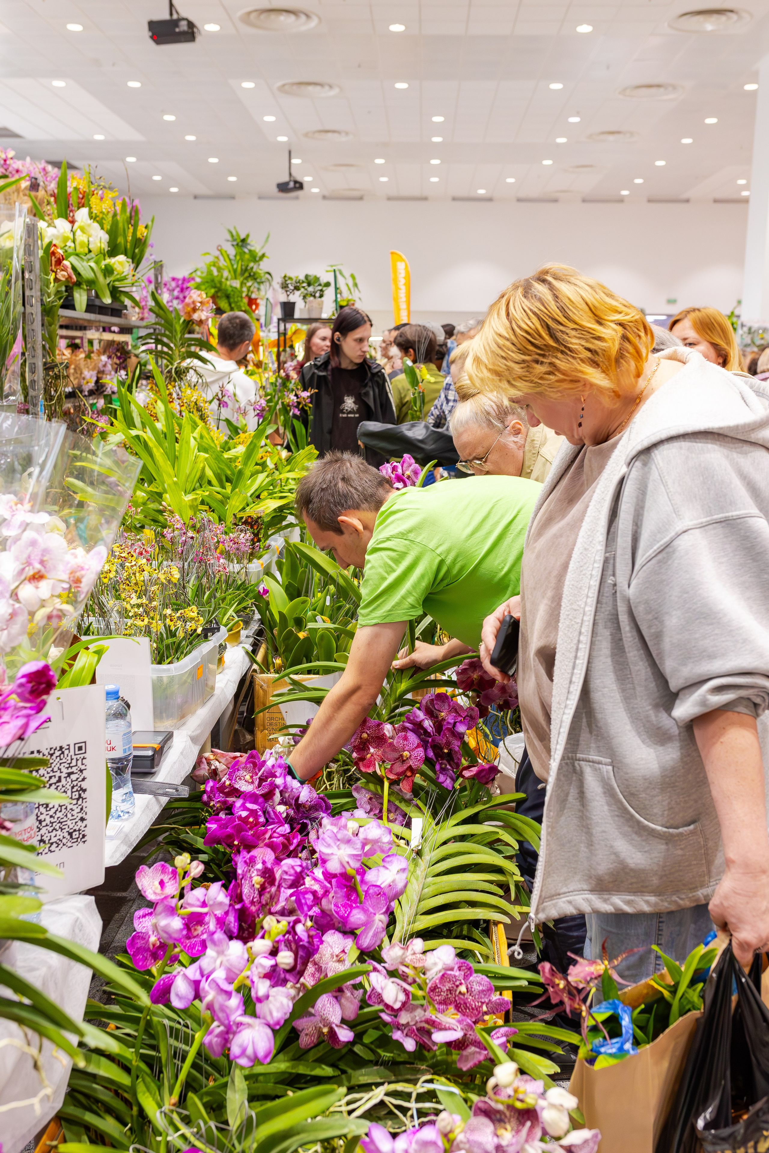 Орхидиум сентябрь 2025. Александра Куликова фотограф, Москва