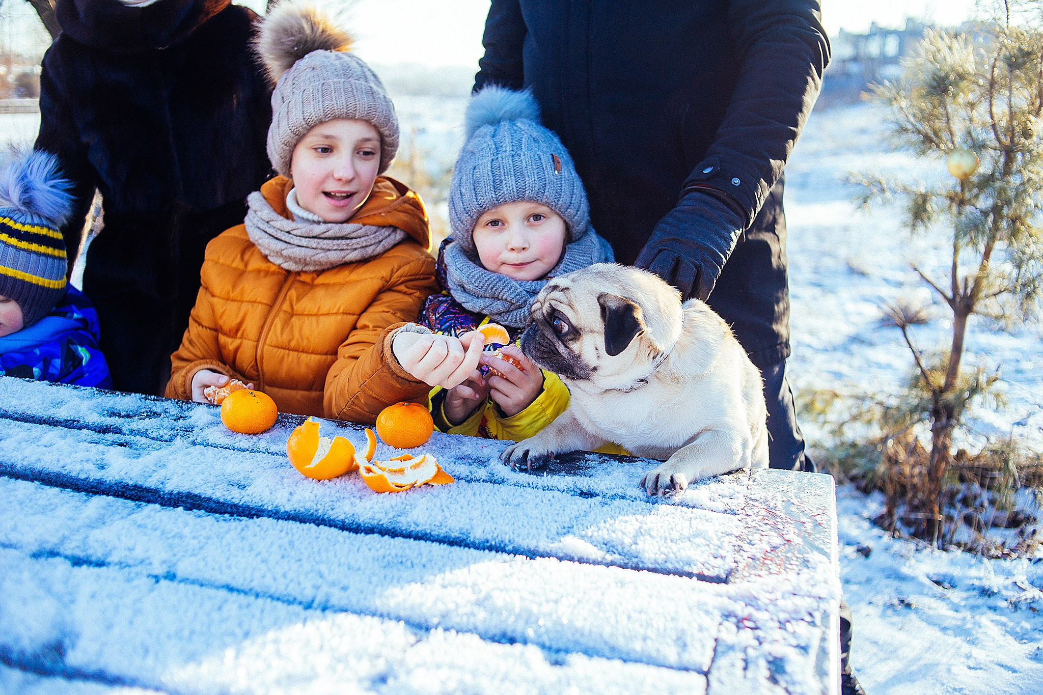 Зимняя фотопрогулка на мещерском озере с мандаринами. Детский и семейный фотограф, фотограф мероприятий Нижний Новгород