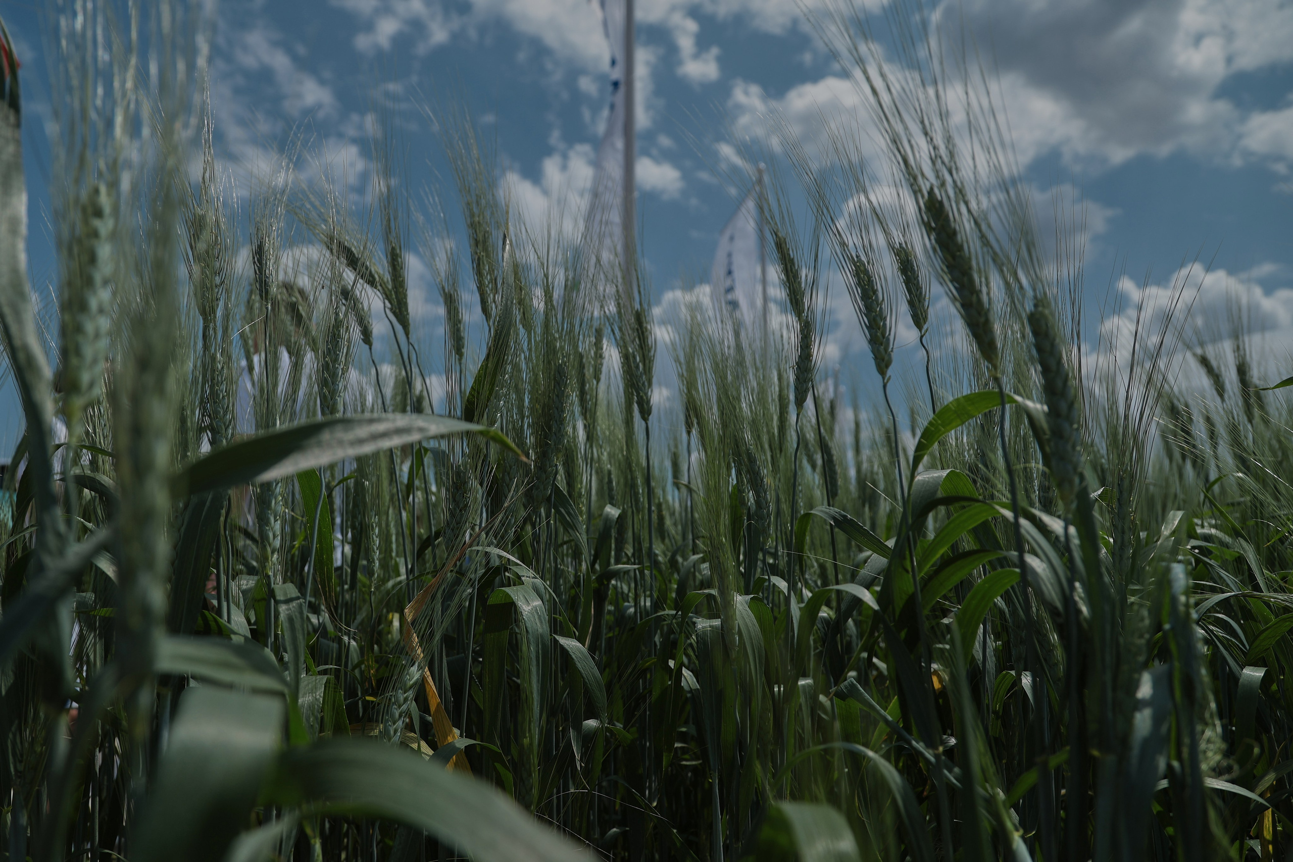 Репортажная съемка. Женский и контент фотограф Данилина Ирина в Москве