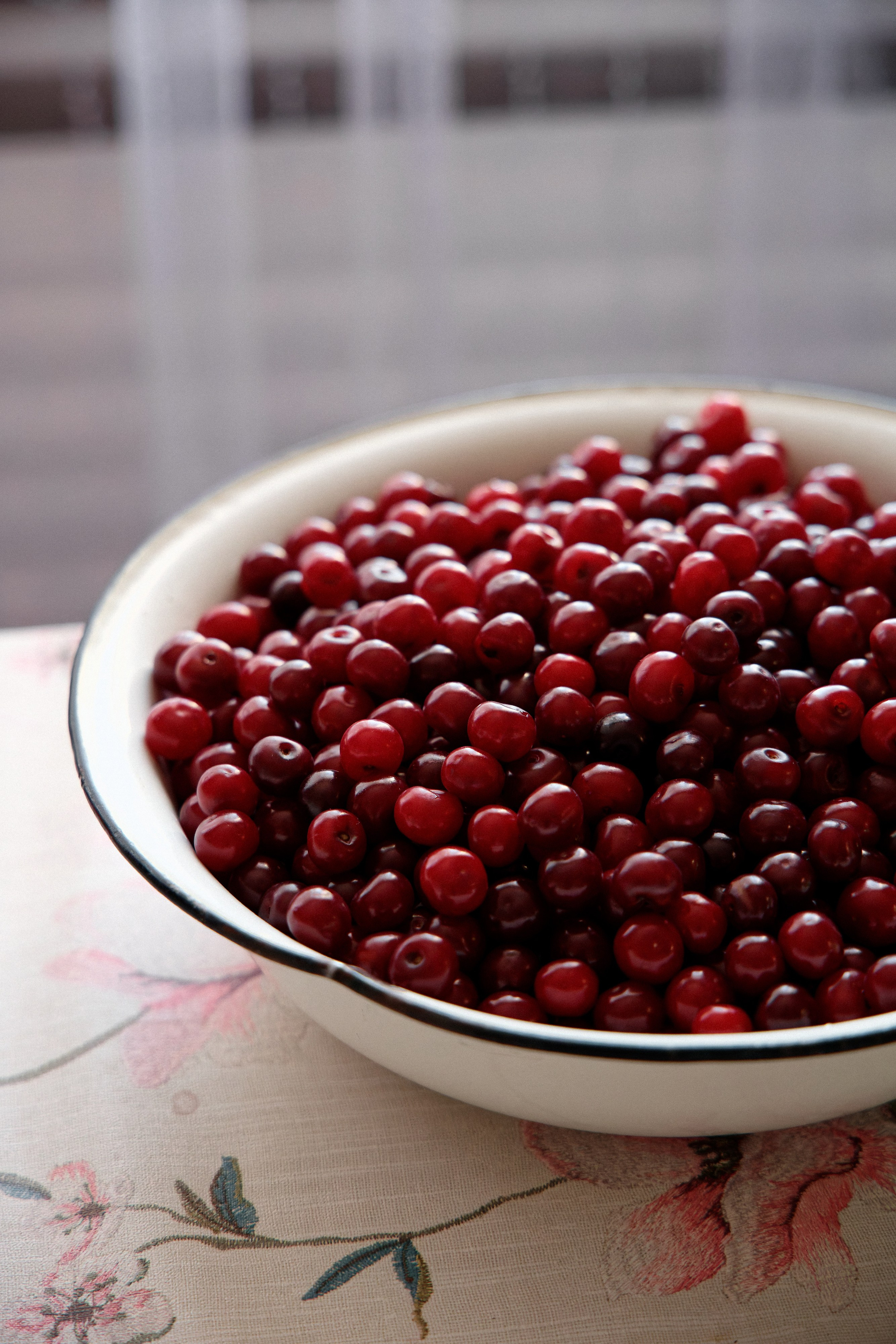 Семья Даниловых. Семейный фотограф — Макс Белогрудов