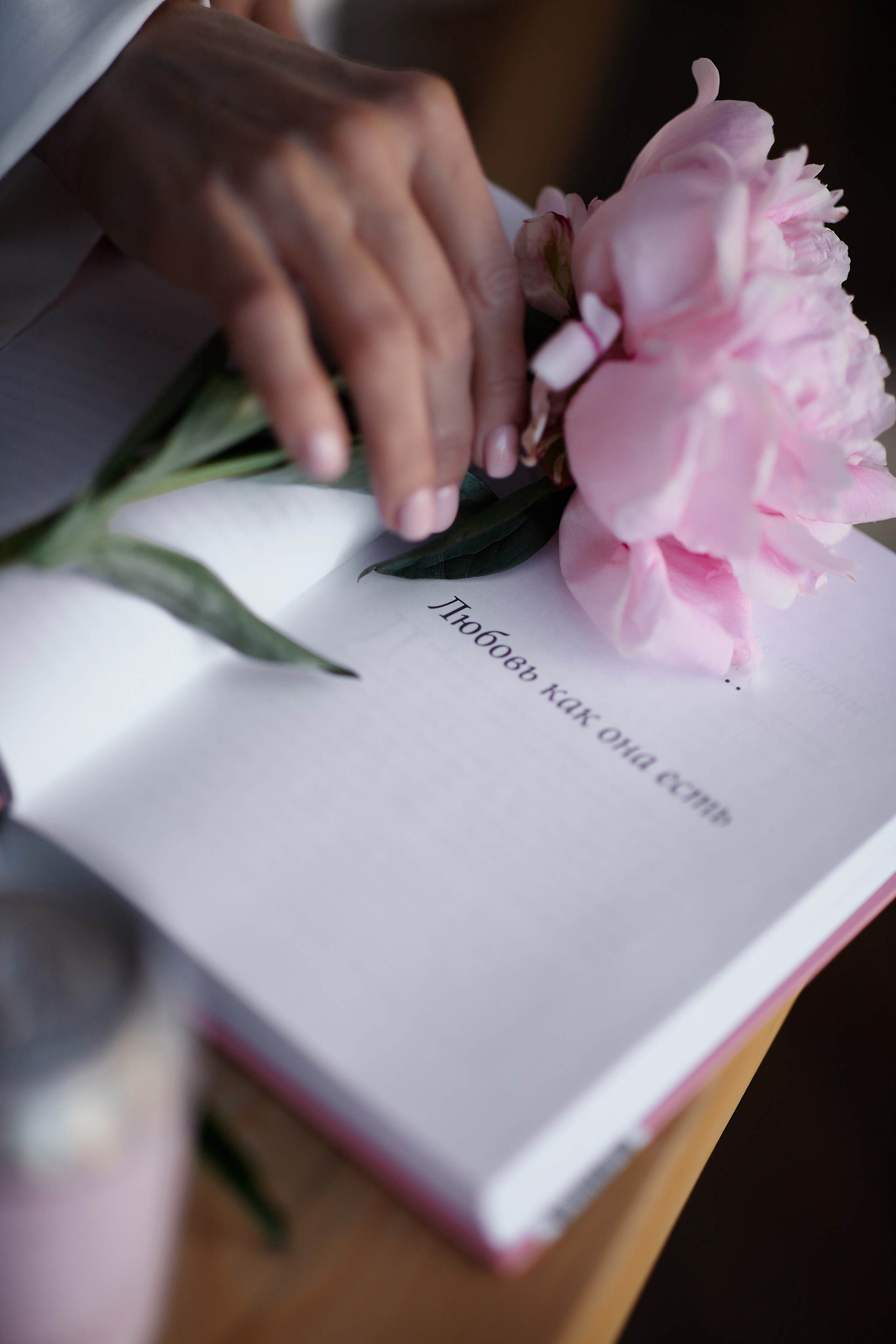 Фотосессия Анны Гребцовой ресторан Айвазовский. Свадебный и семейный фотограф в Сочи-Красной поляне Ларионова Анна