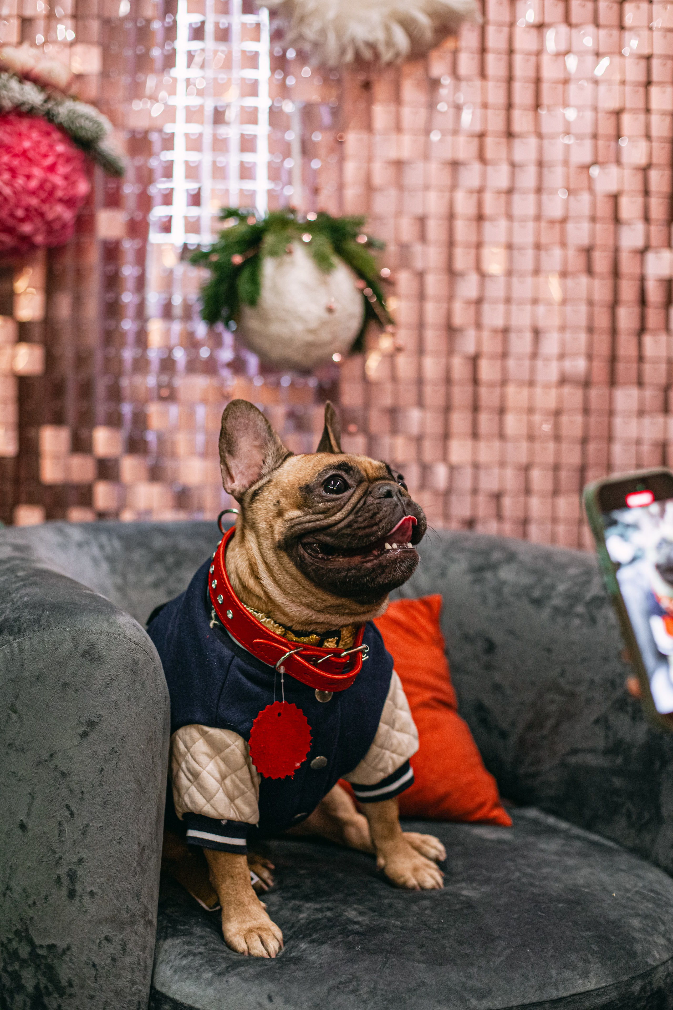 Бульёлка 2024. Фотограф-анималист Татьяна Степанова