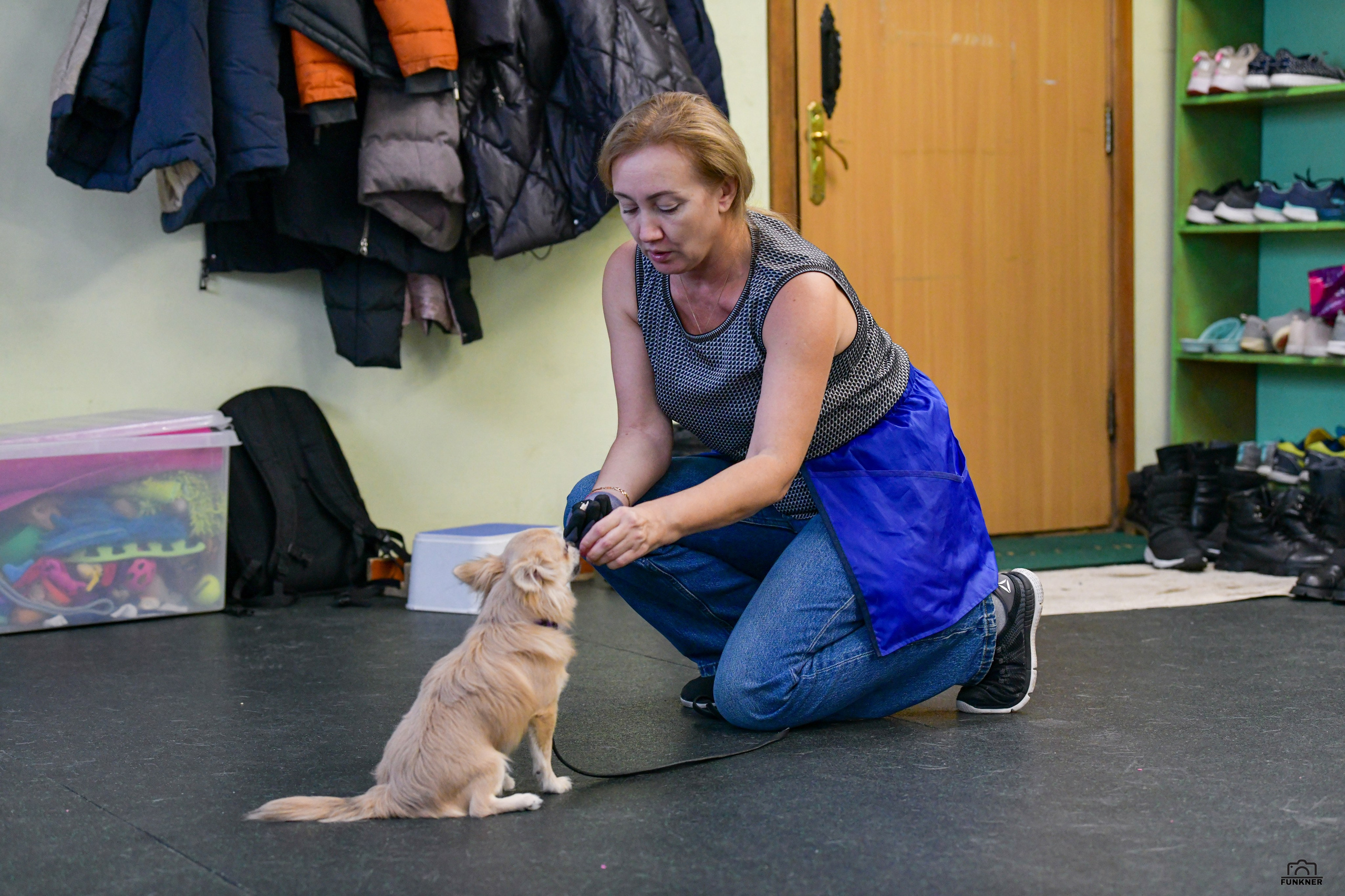 Кинологический клуб «Бодрый хвост». Свой взгляд через объектив