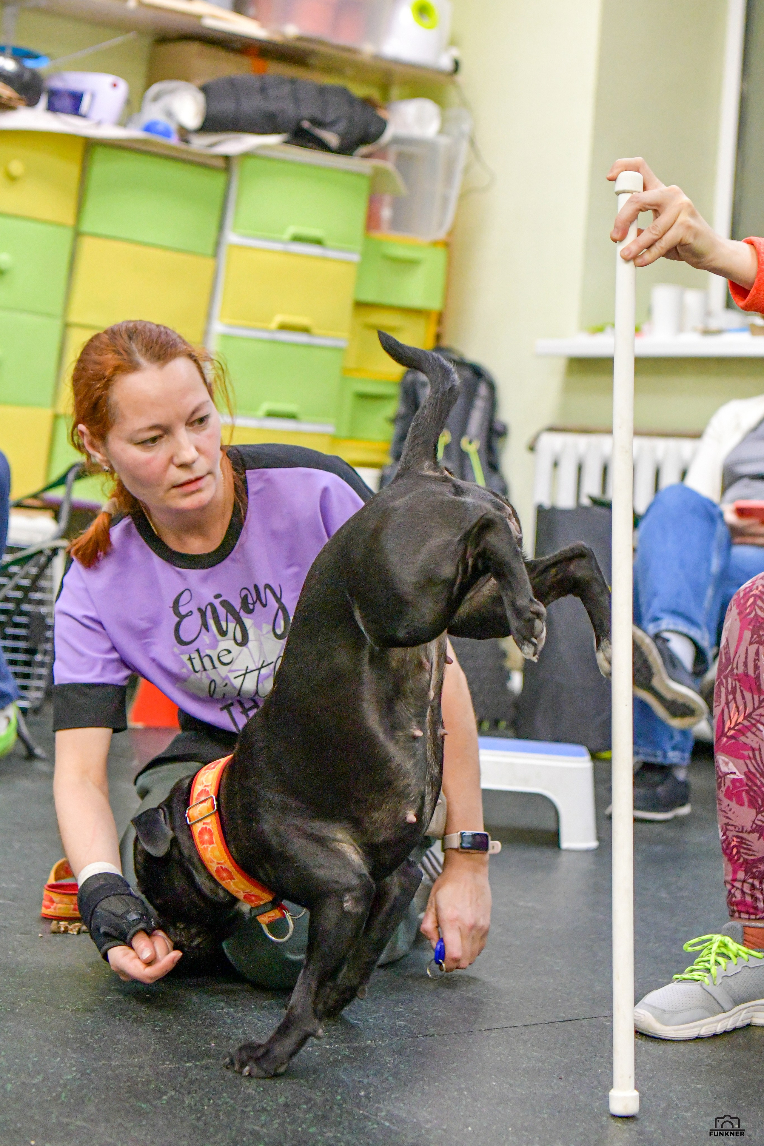 Кинологический клуб «Бодрый хвост». Свой взгляд через объектив