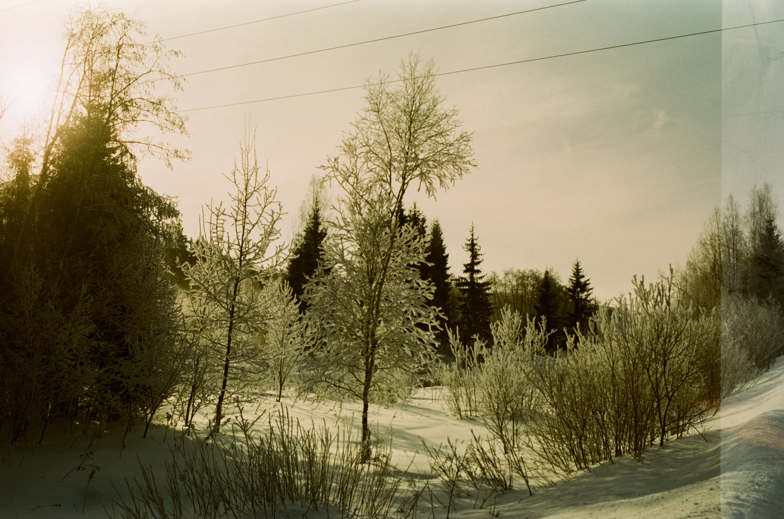 Pentax MZ-3 (1) объектив Schneider-Kreuznach Retina-Xenon 50 mm f/1.9 D