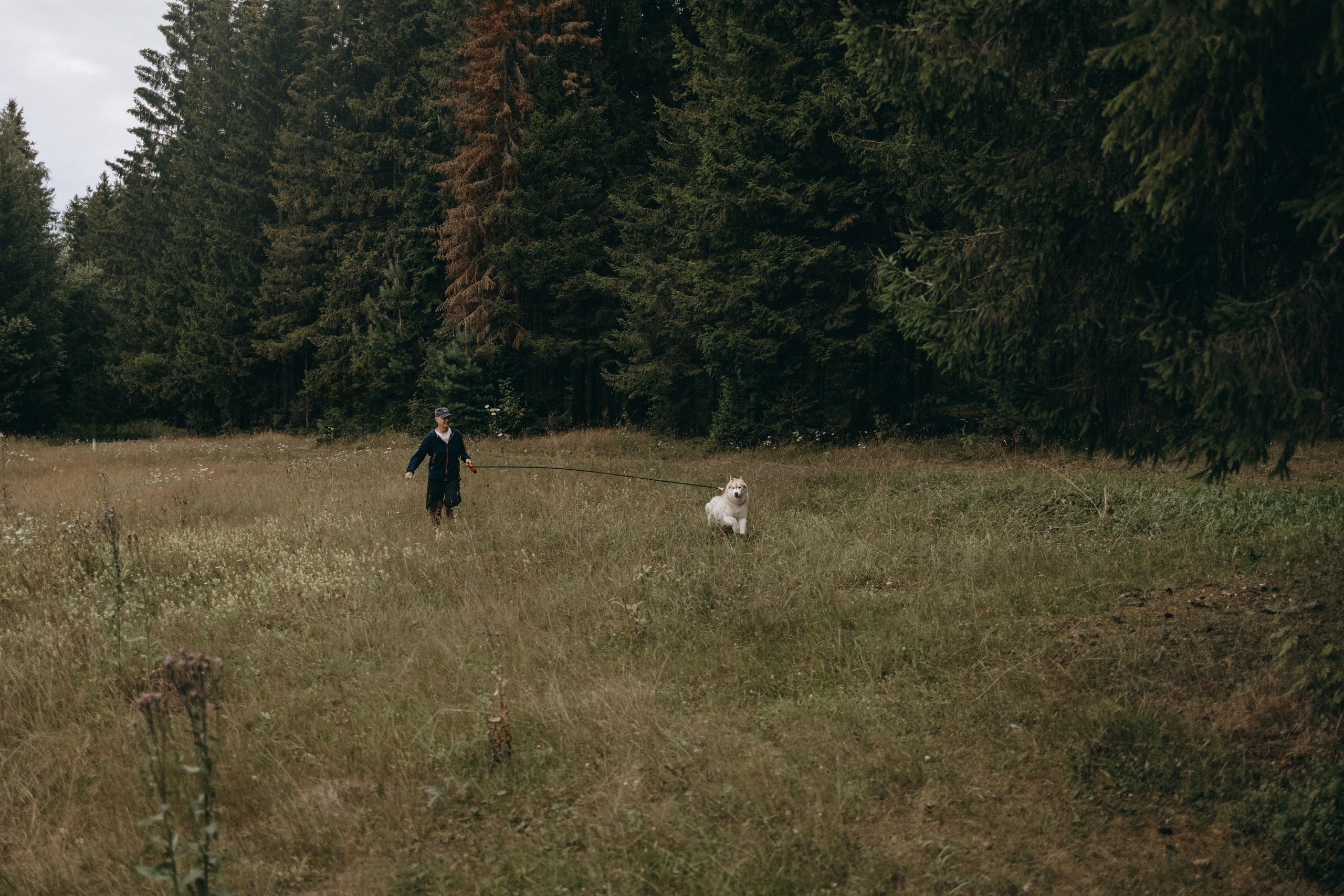 Дом у реки. Фотограф — Анималист | Санкт-Петербург