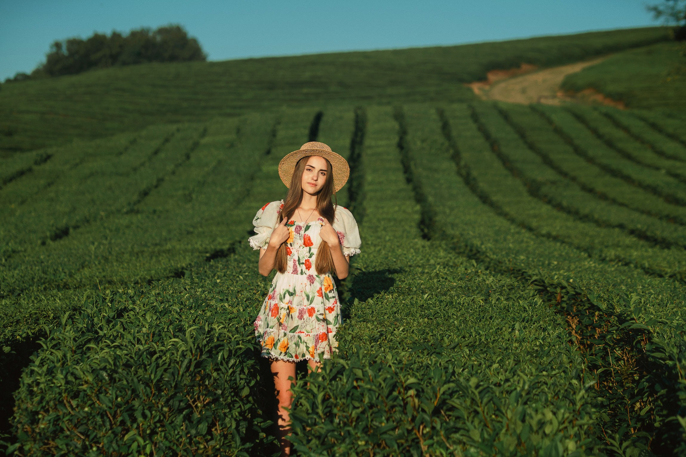 Фототуры в Сочи чайные плантации