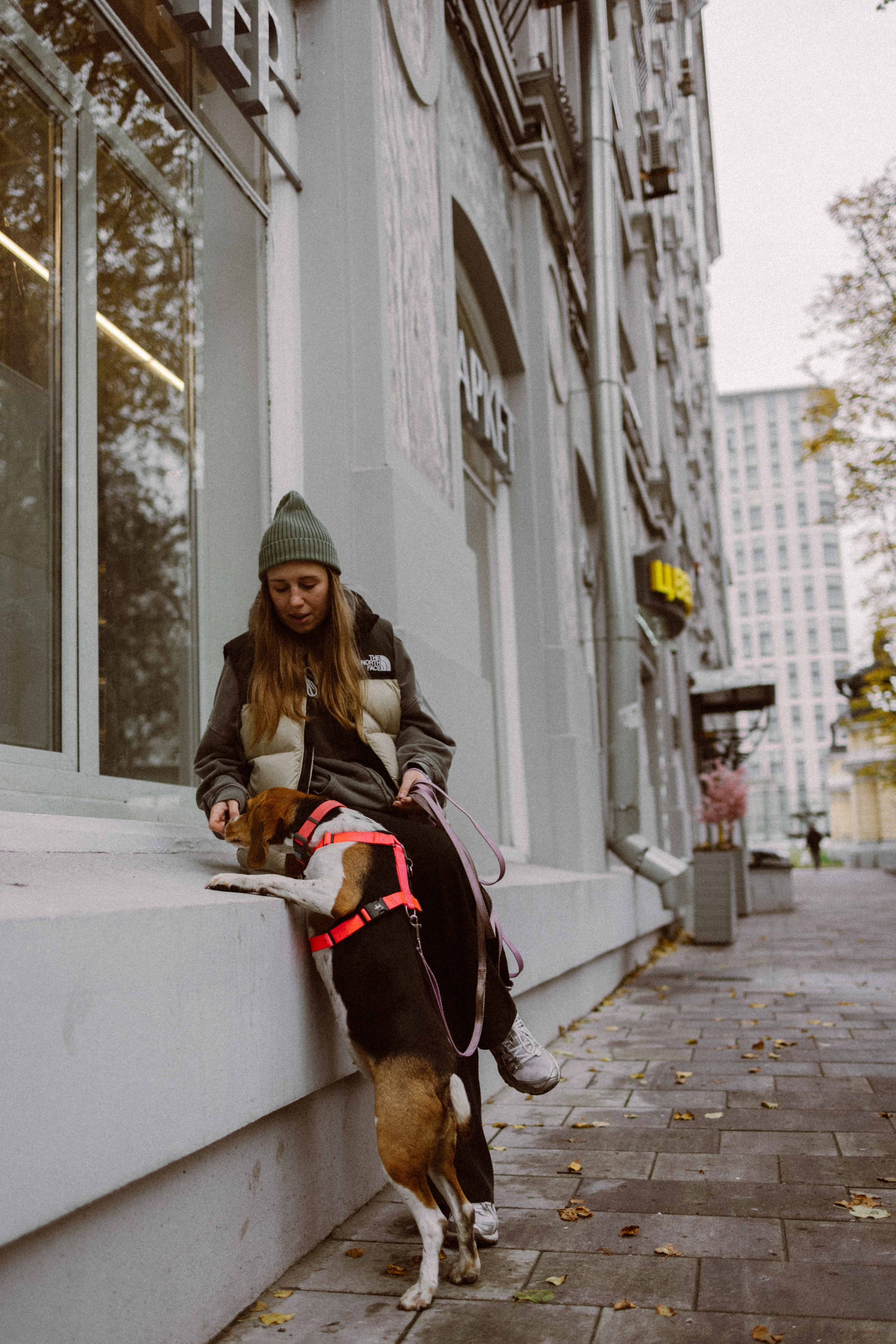 Света и Ива. Фотограф-анималист в Москве Лера Черноног