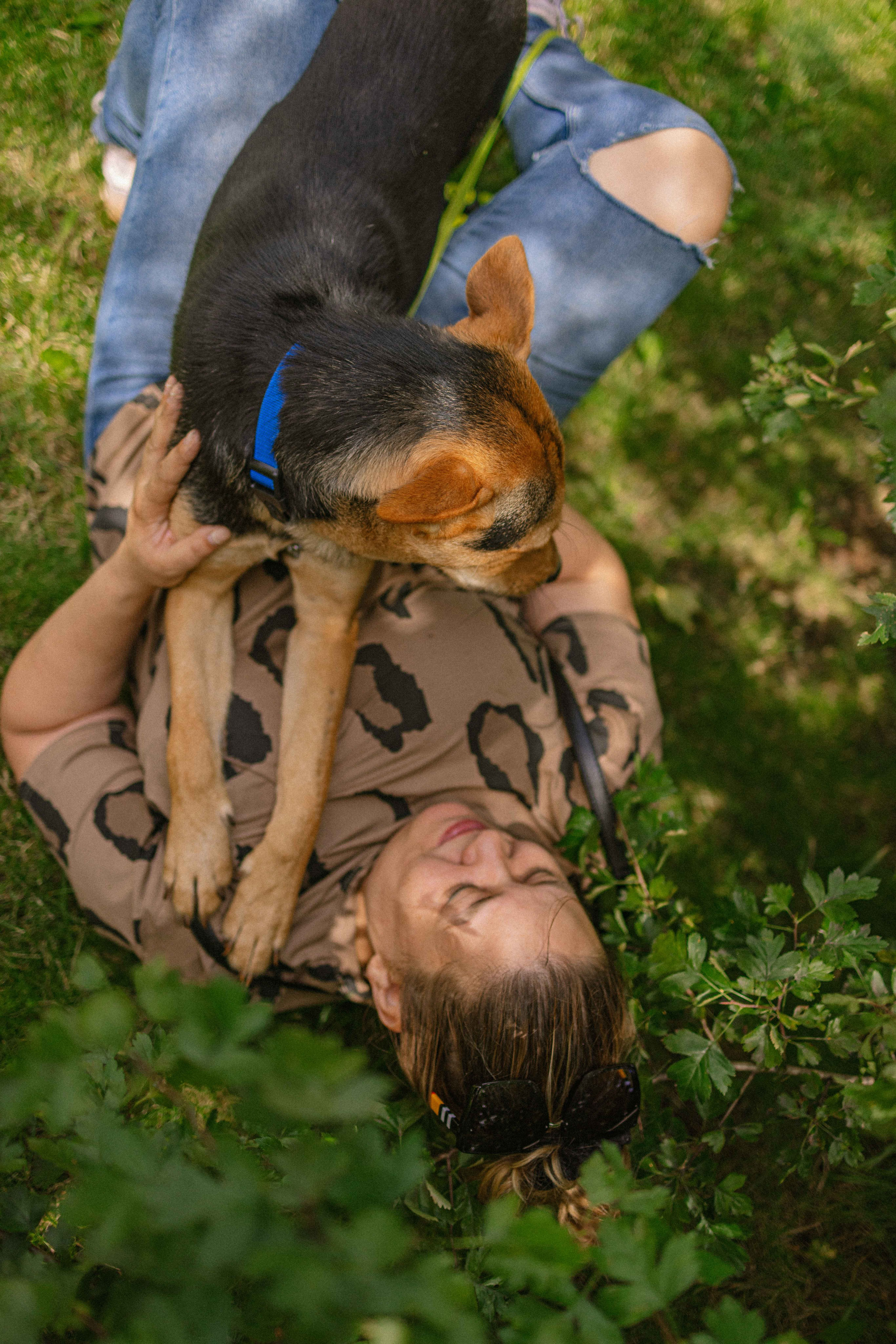Джеки. Фотограф-анималист в Москве Лера Черноног