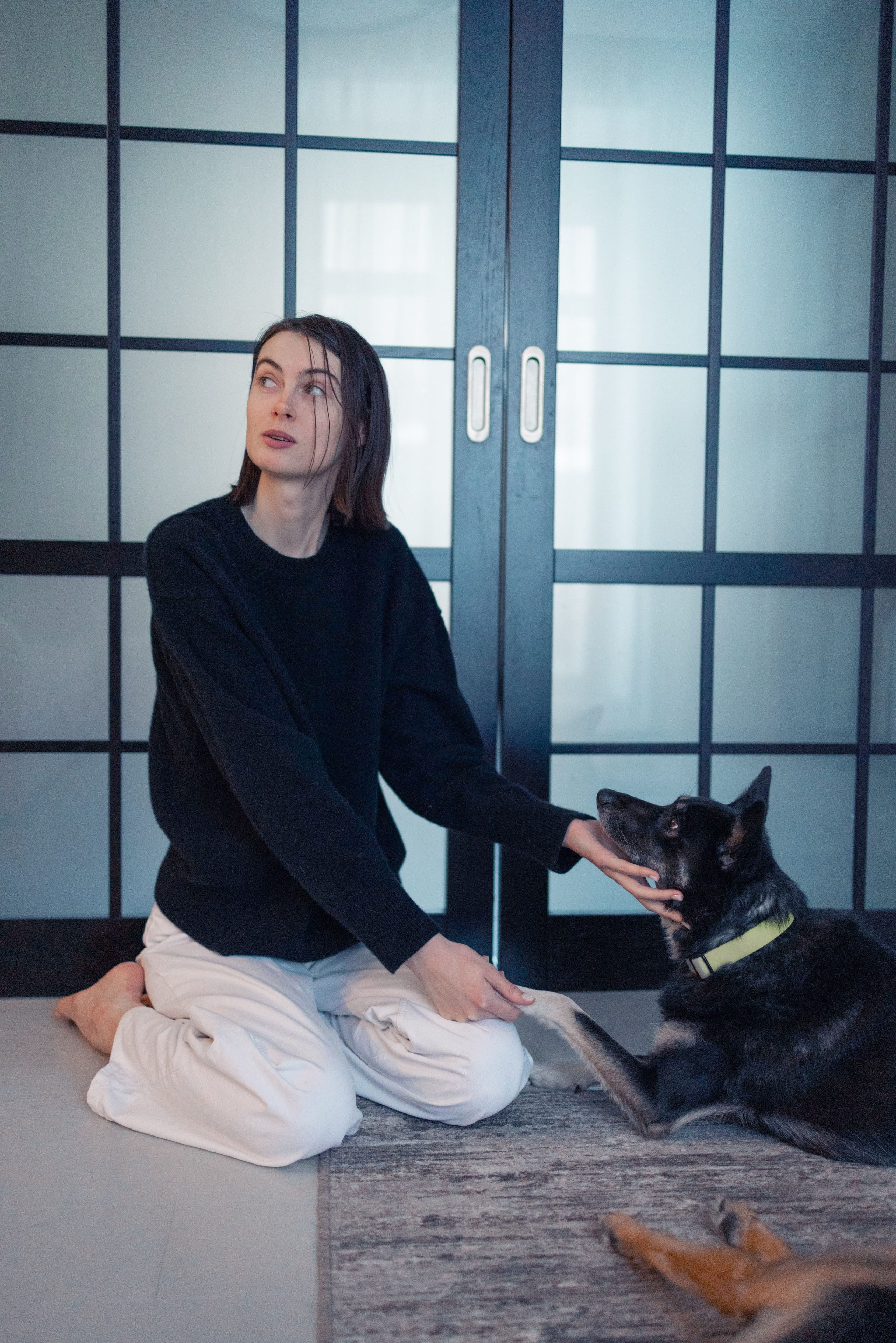 Ника, Матиша и Герда. Фотограф-анималист в Москве Лера Черноног