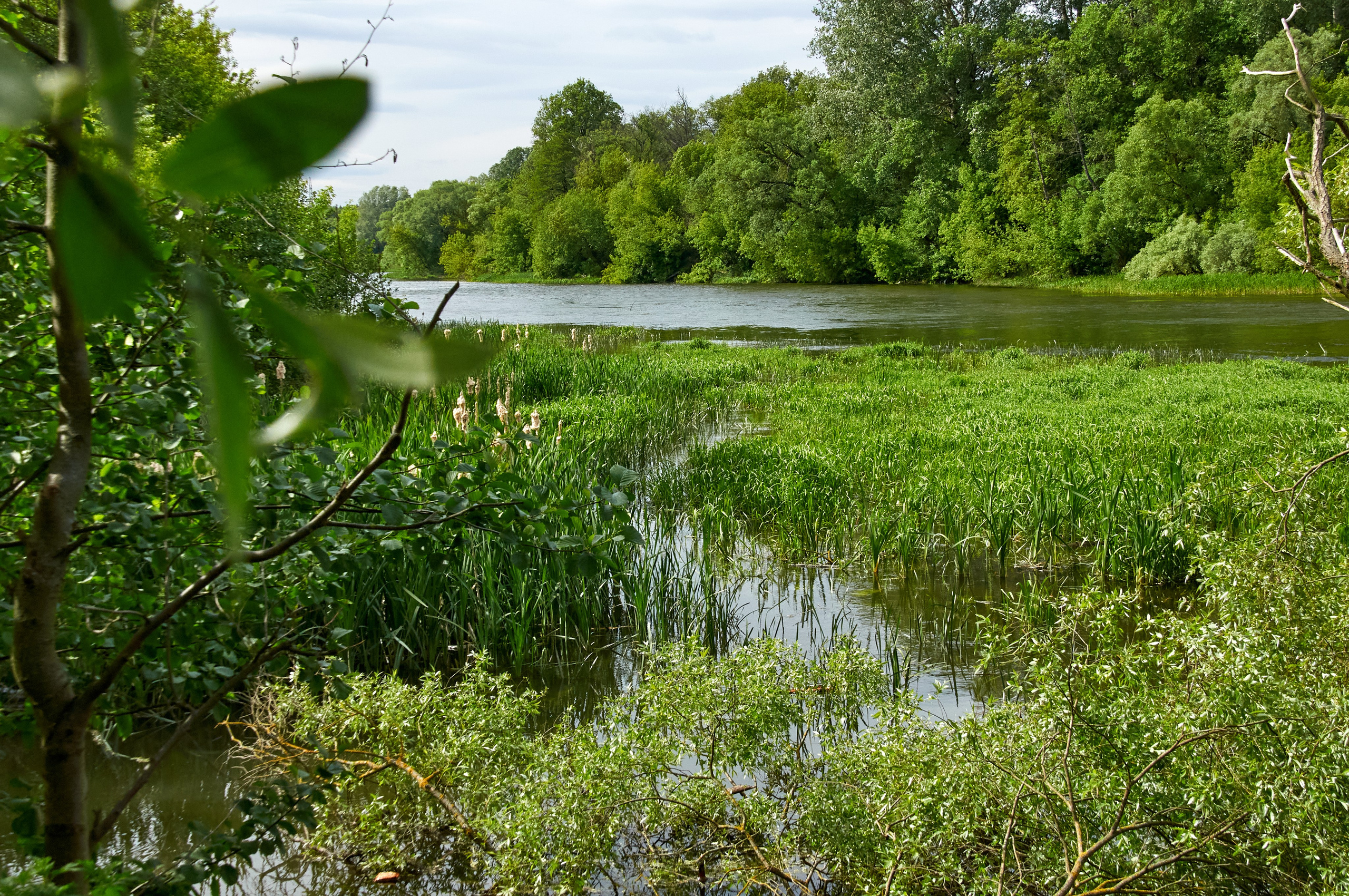 Искусство пейзажа: гармония природы в фотографиях. Координаты красоты — география в фокусе