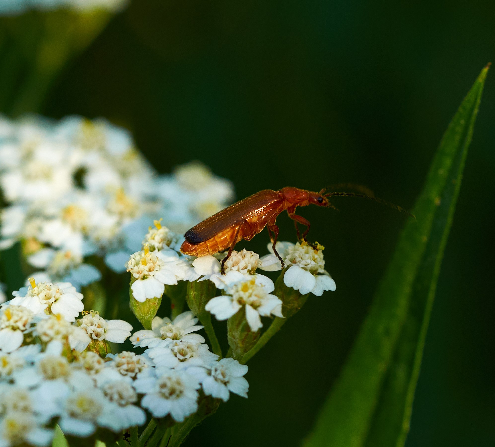 Искусство пейзажа: гармония природы в фотографиях. Координаты красоты — география в фокусе