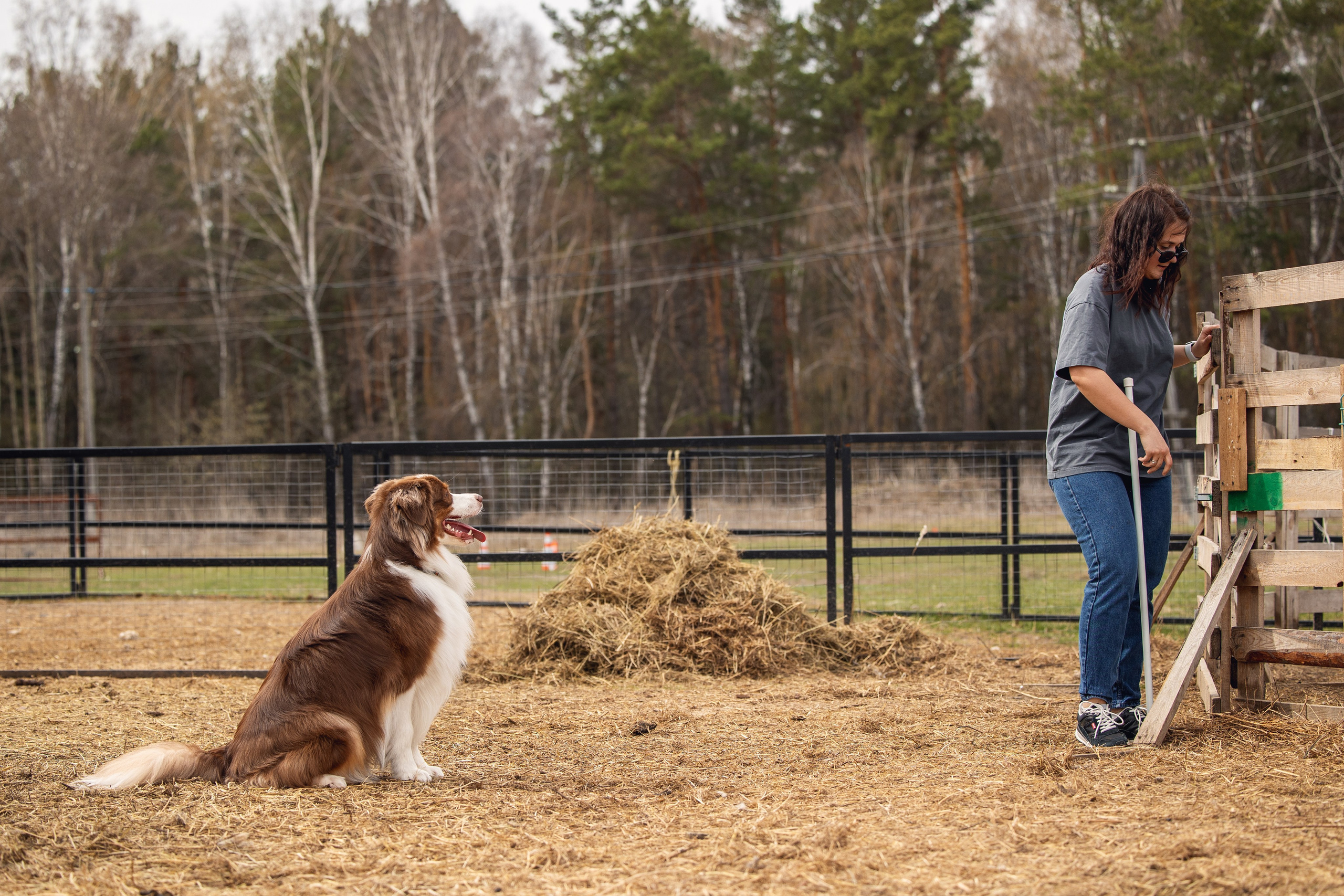 Анна и Вуди. YULA KOLESOVA | Фотограф — Анималист | Художник | Тюмень