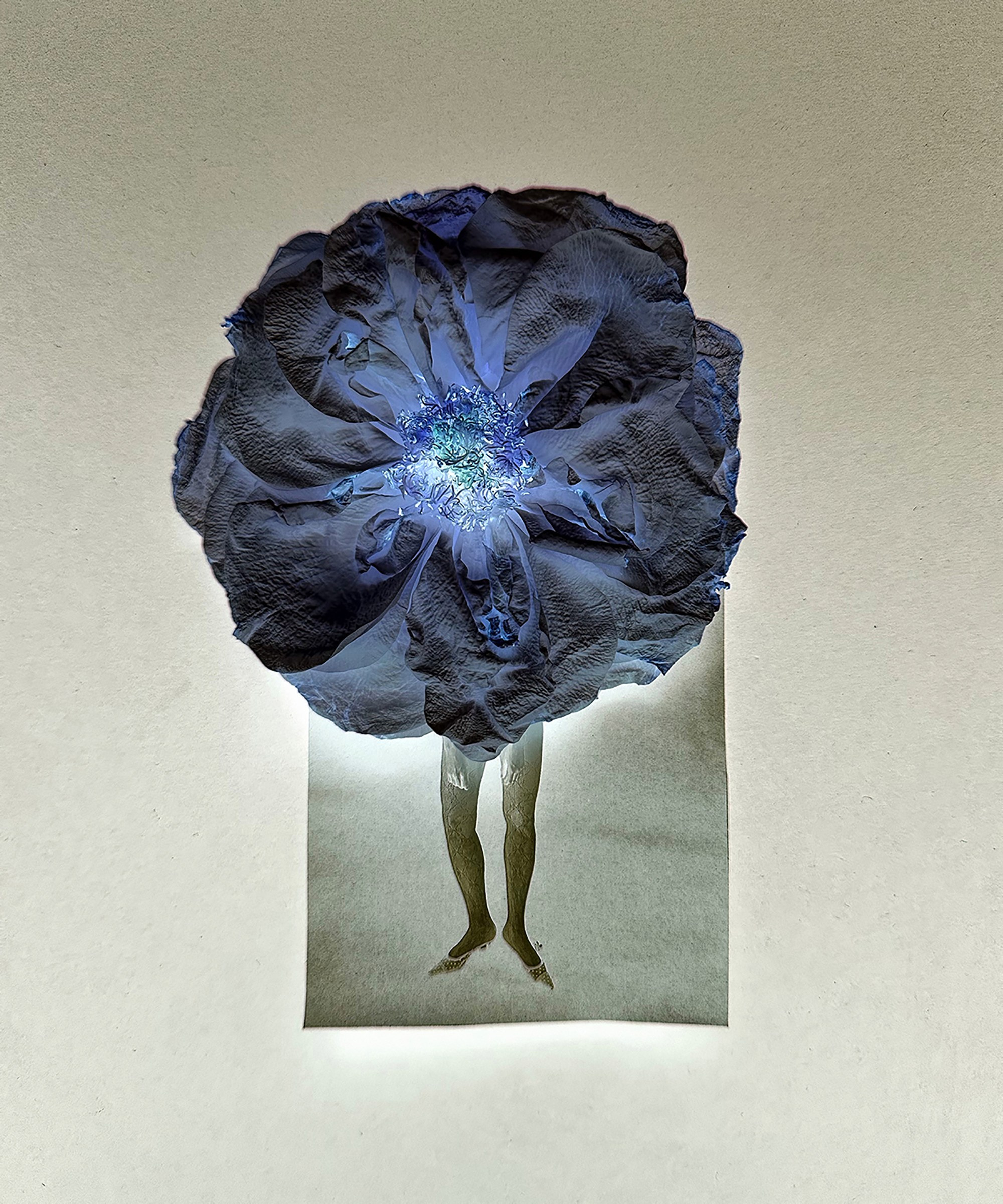 Портфолио. Визуальный художник Ольга Кутерина