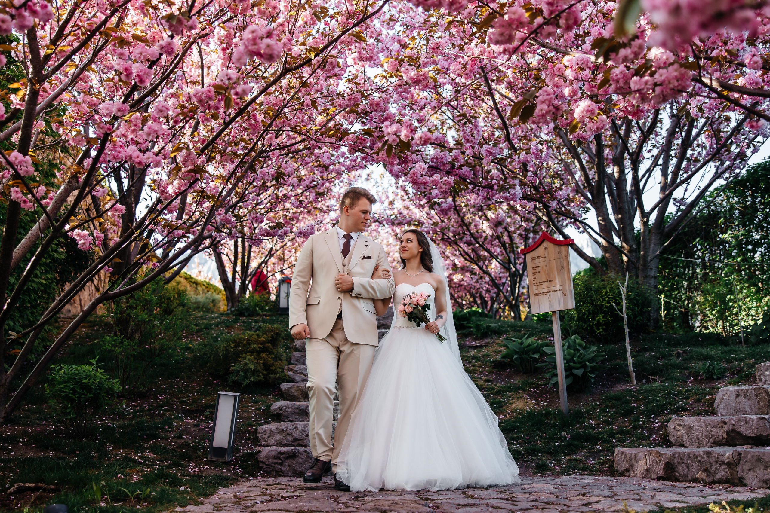 Сакура в Японском саду. Анонс свадьбы для Никиты и Марины. Свадебный фотограф в Крыму и Севастополе Ольга Баскакова