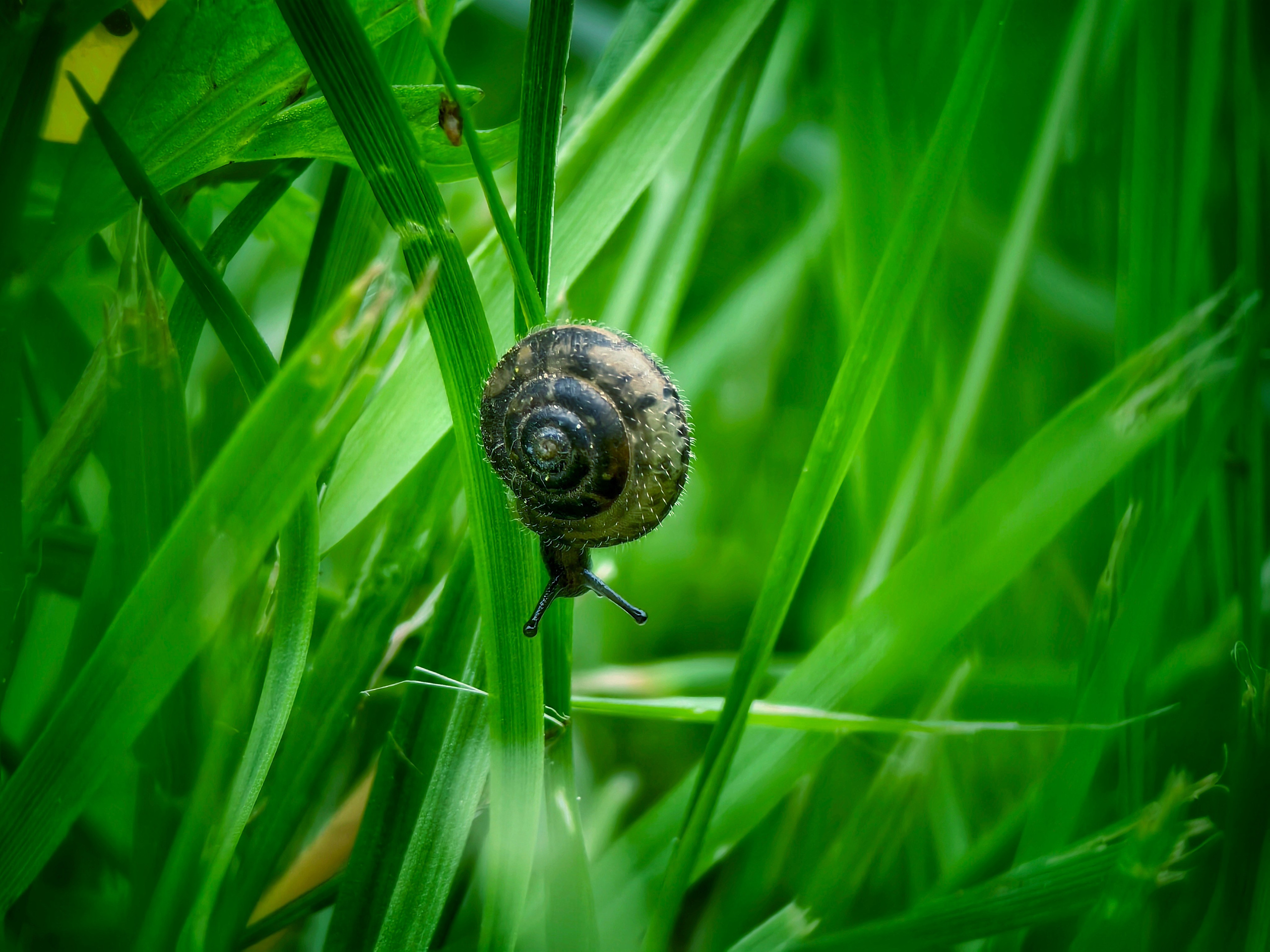 Большое в малом