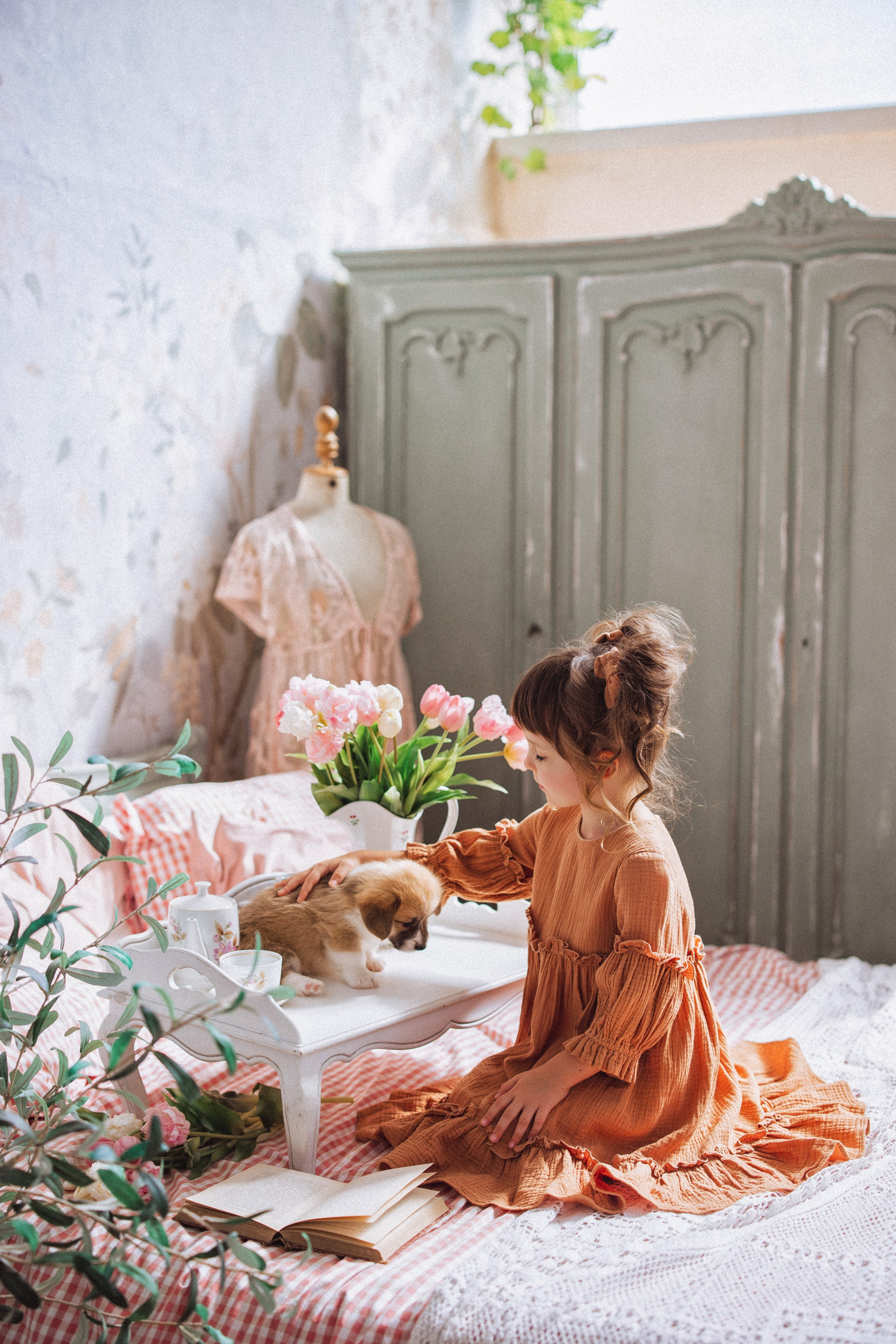 Фотосессия с щенками Корги, в фотостудии Ольги Сурухановой, город Краснодар. Семейный и детский фотограф в Краснодаре Анна Трашкова