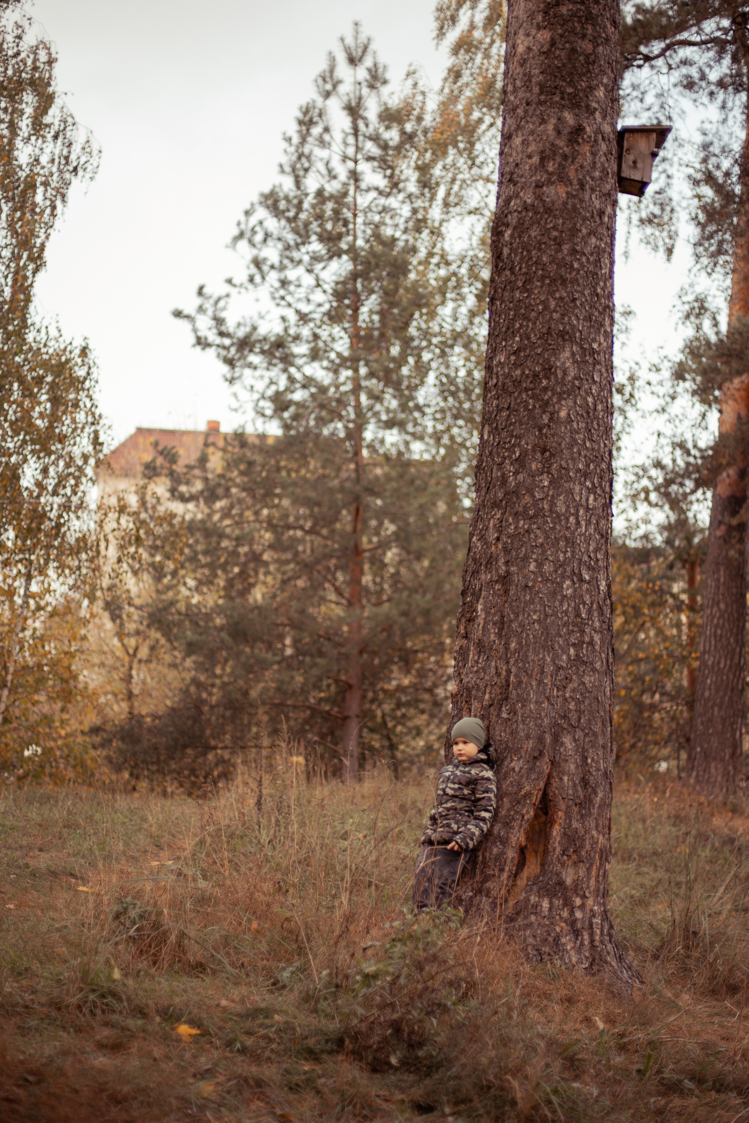 Фотосессия мальчика осенью. Семейный фотограф в г. Видное Дрынова Вера