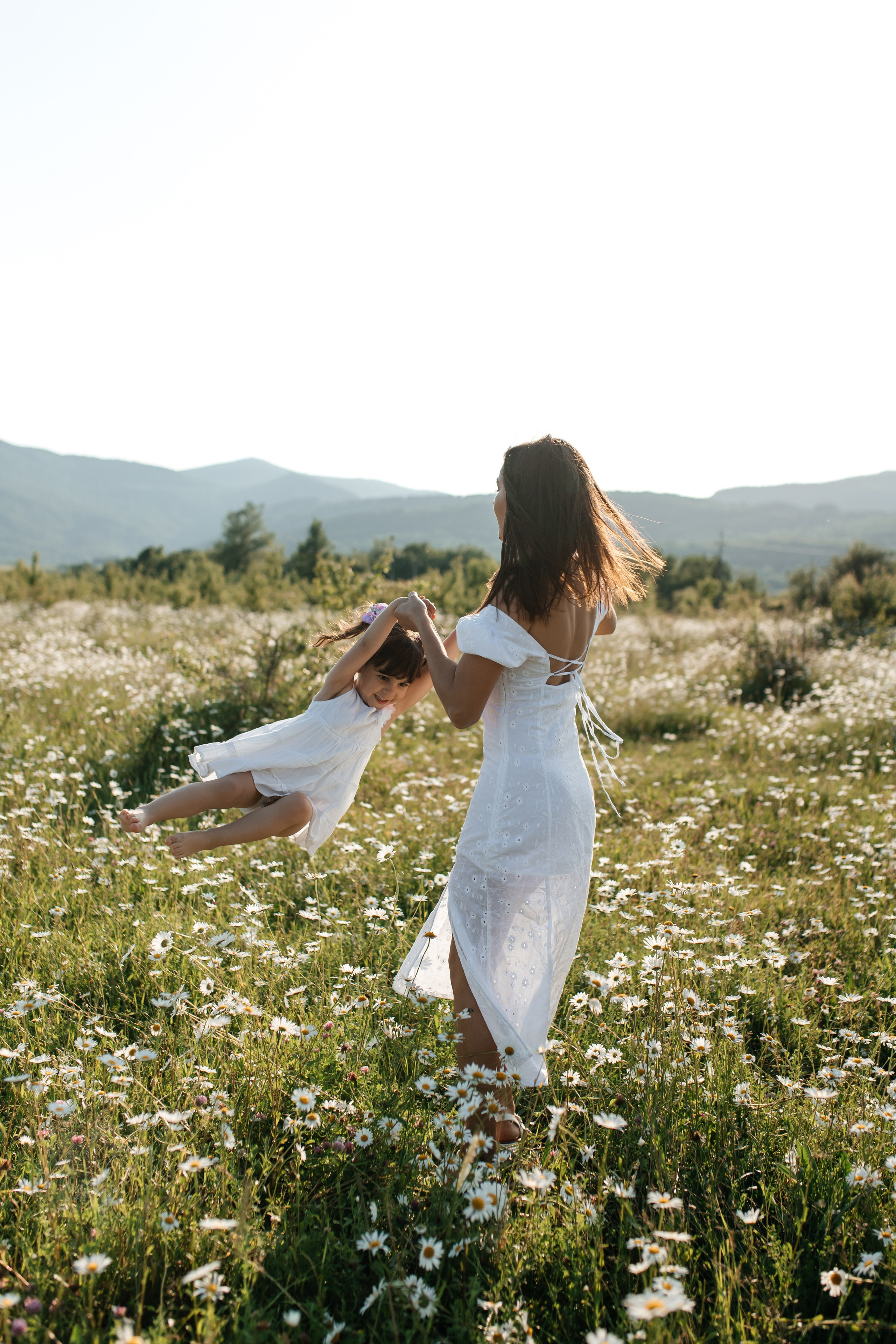 Daisies. ФОТОГРАФ