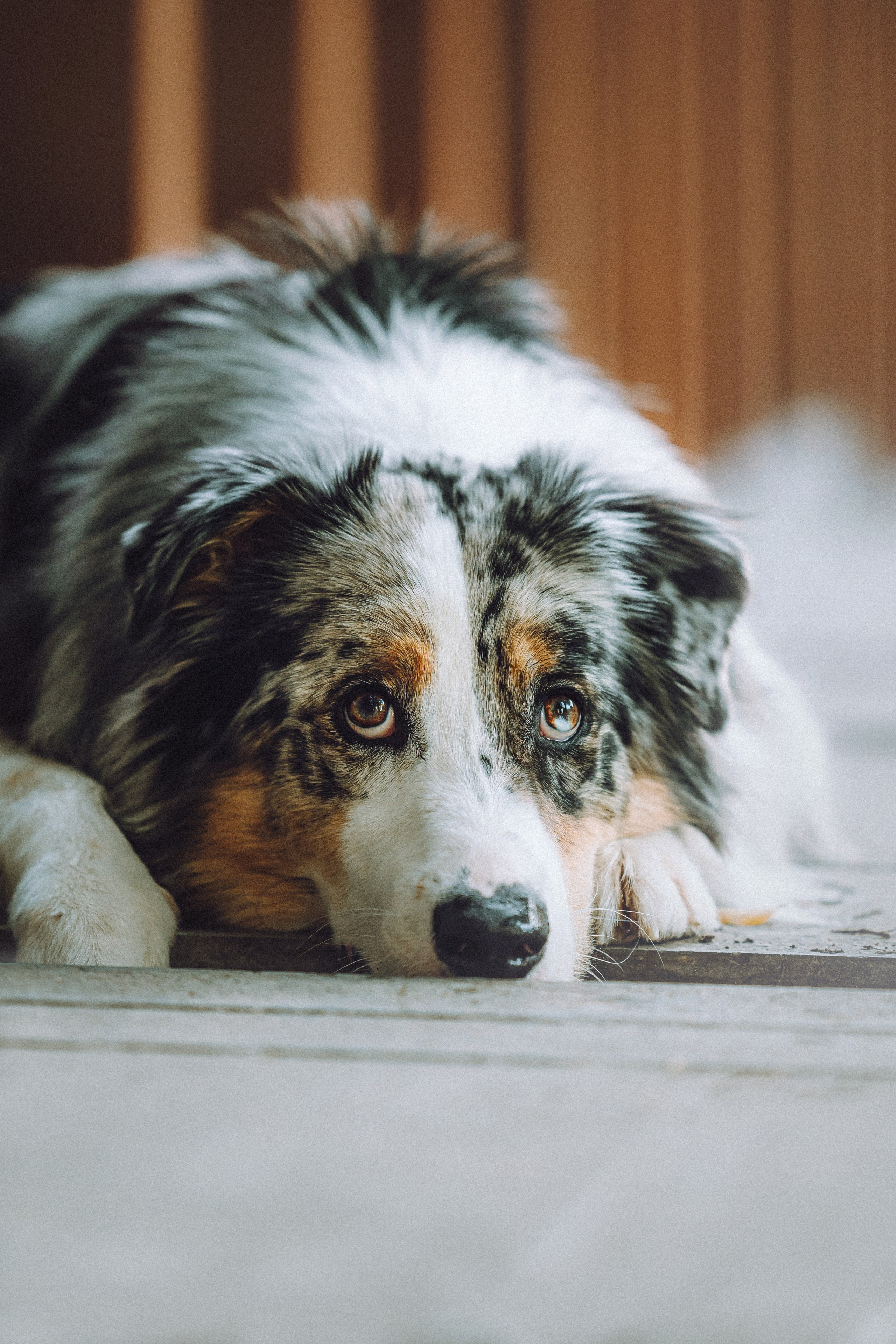 Саша, Рома и Один