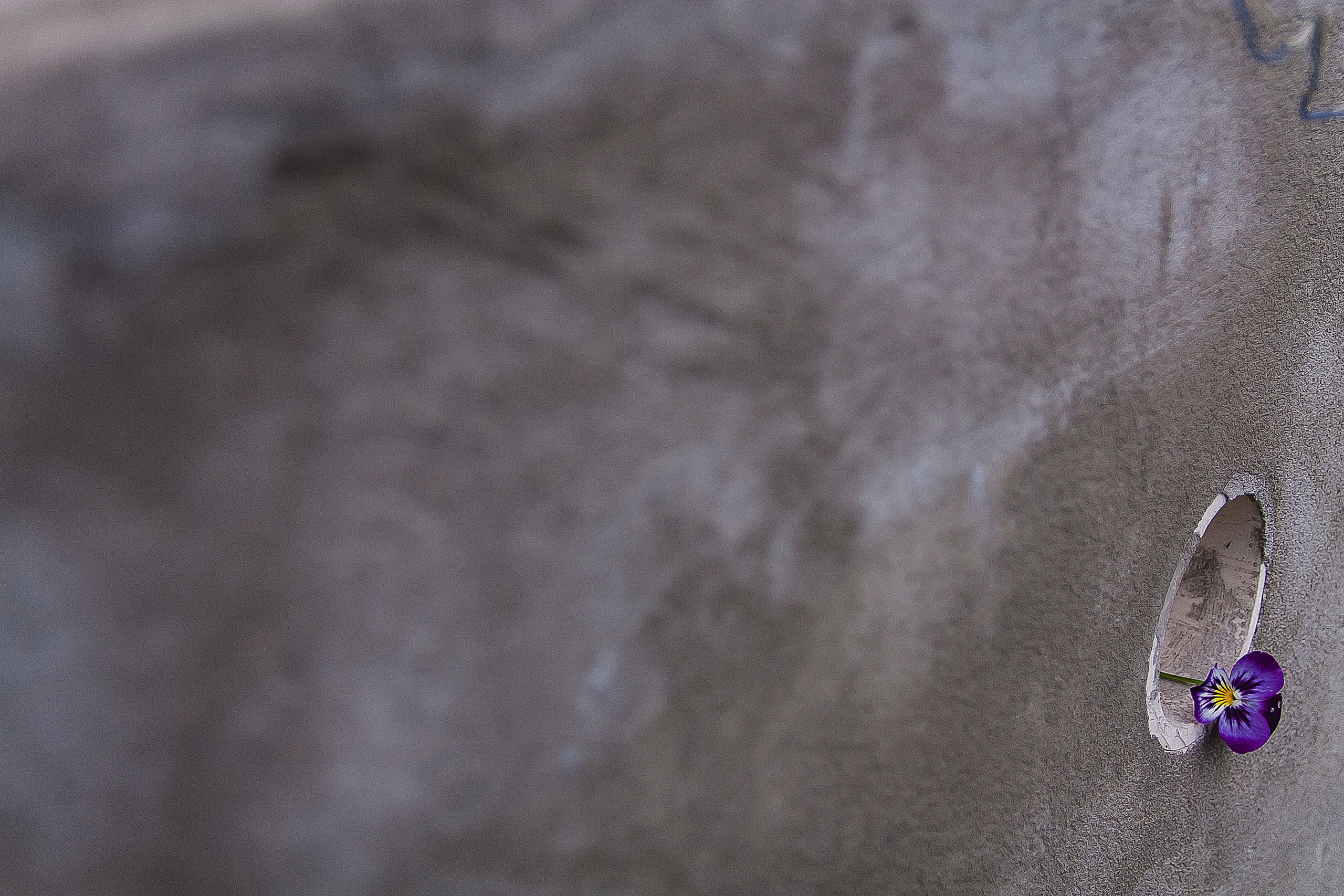 Бесшумная фотография. Tatyana Mazok творческий фотограф в Минске