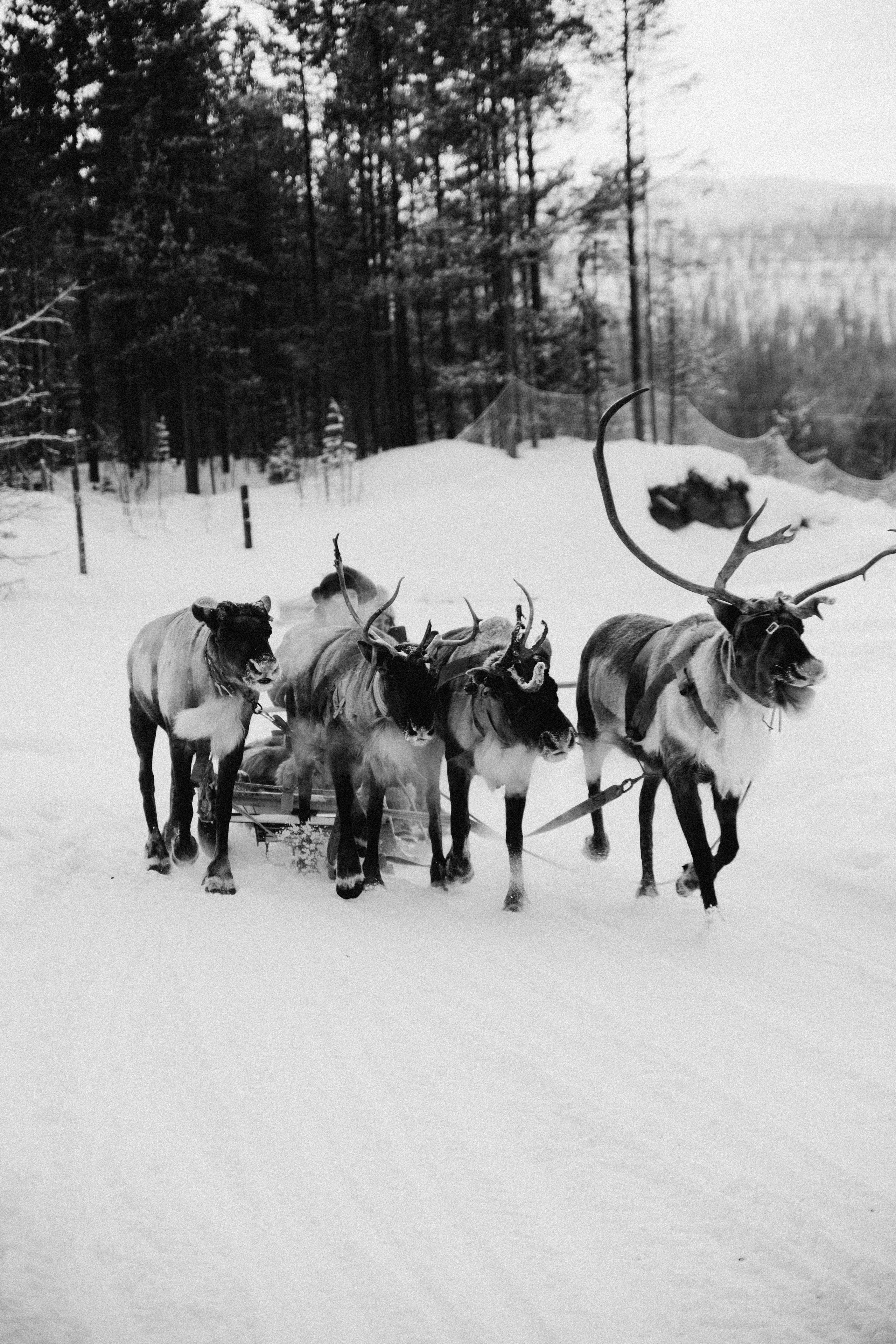 Териберка 2025. Репортажный и детский фотограф в Минске