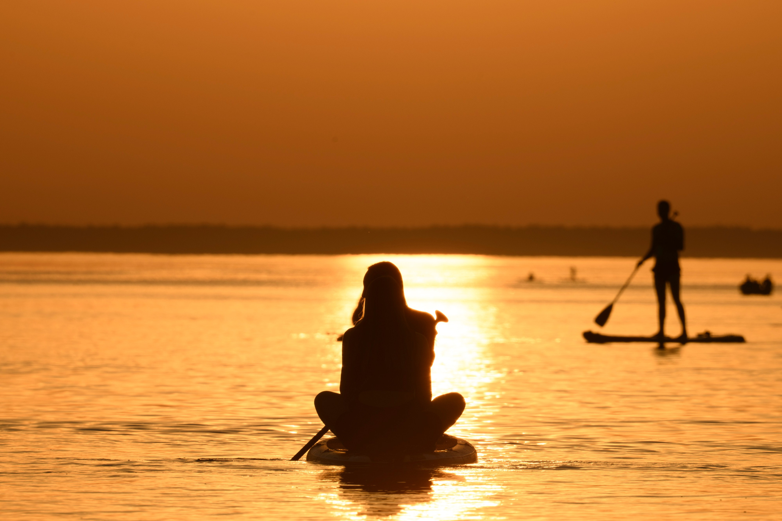 Переславль-Залесский. Wildlife photography by Sergey Puponin