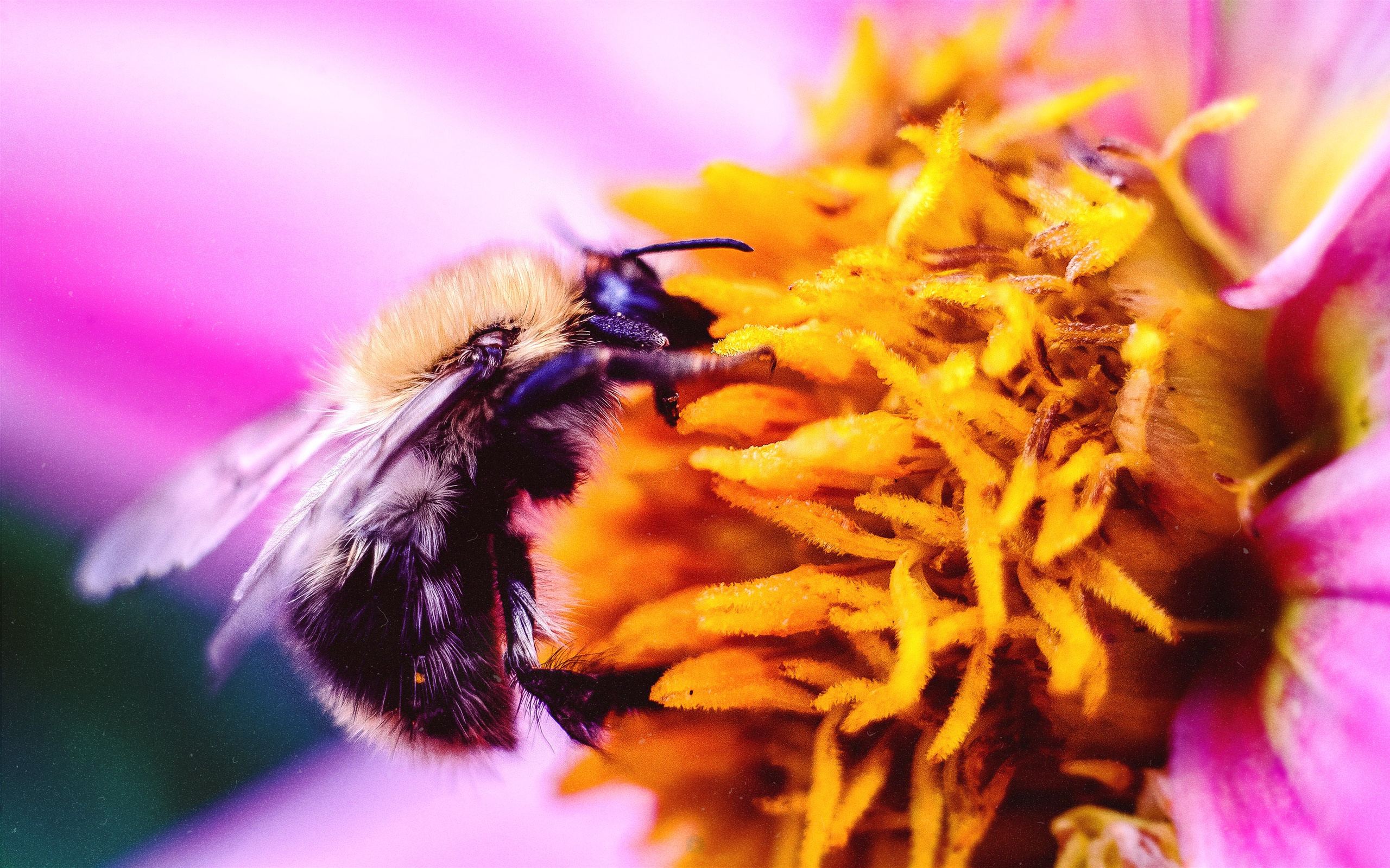 N a t u r e. Your photographer