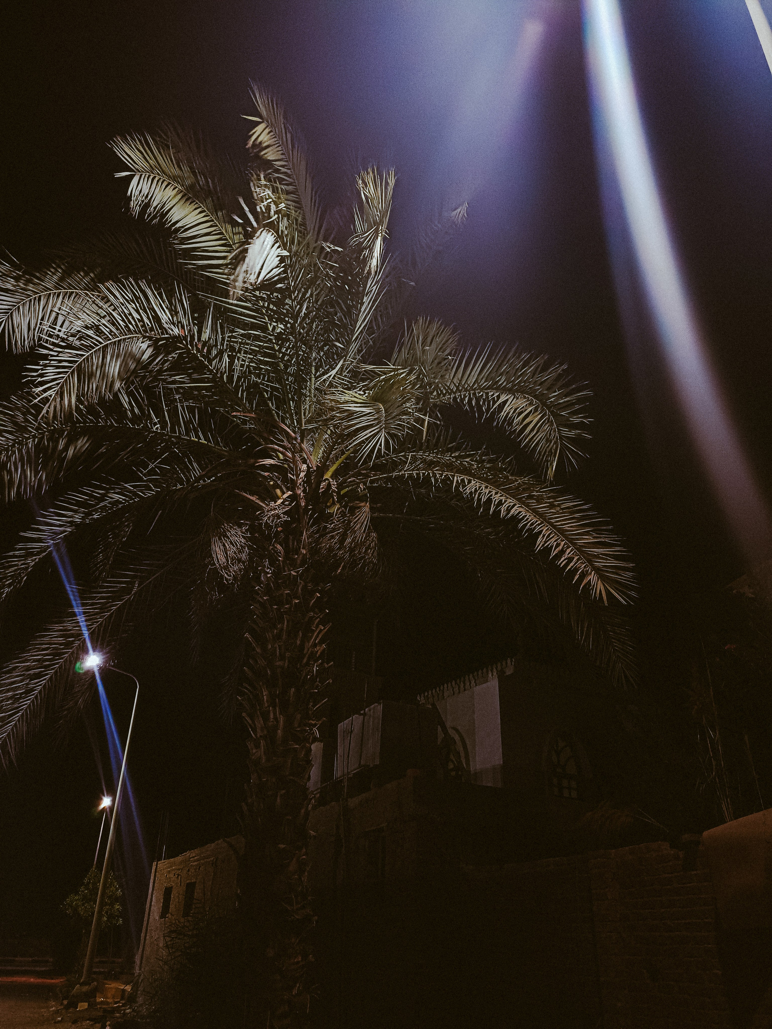 Мобильная. Jorgis — фотограф в Хургаде / обучение фотографии