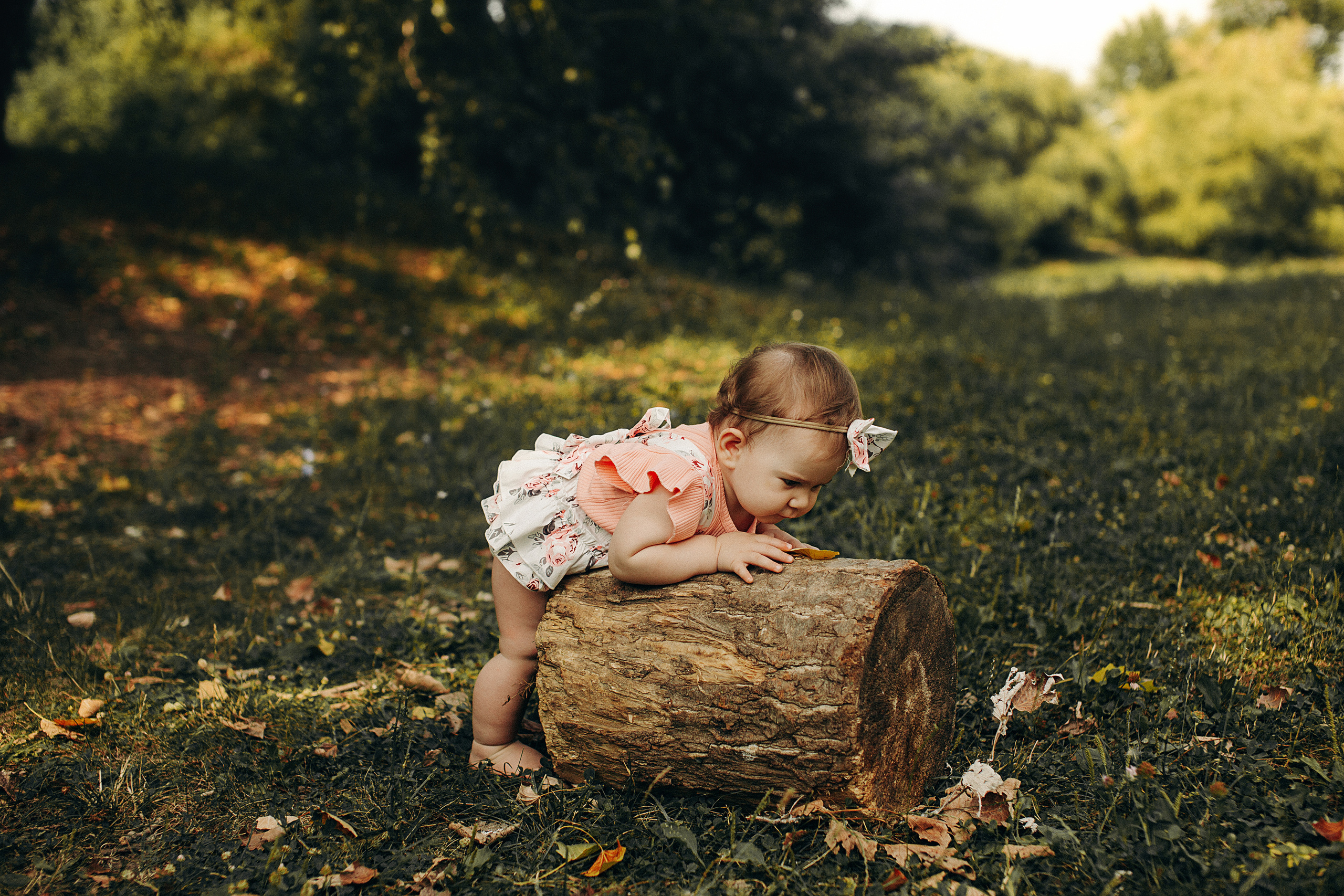 Дендрарий. Свадебный и семейный фотограф/видеограф в Краснодаре Наталья Осинская