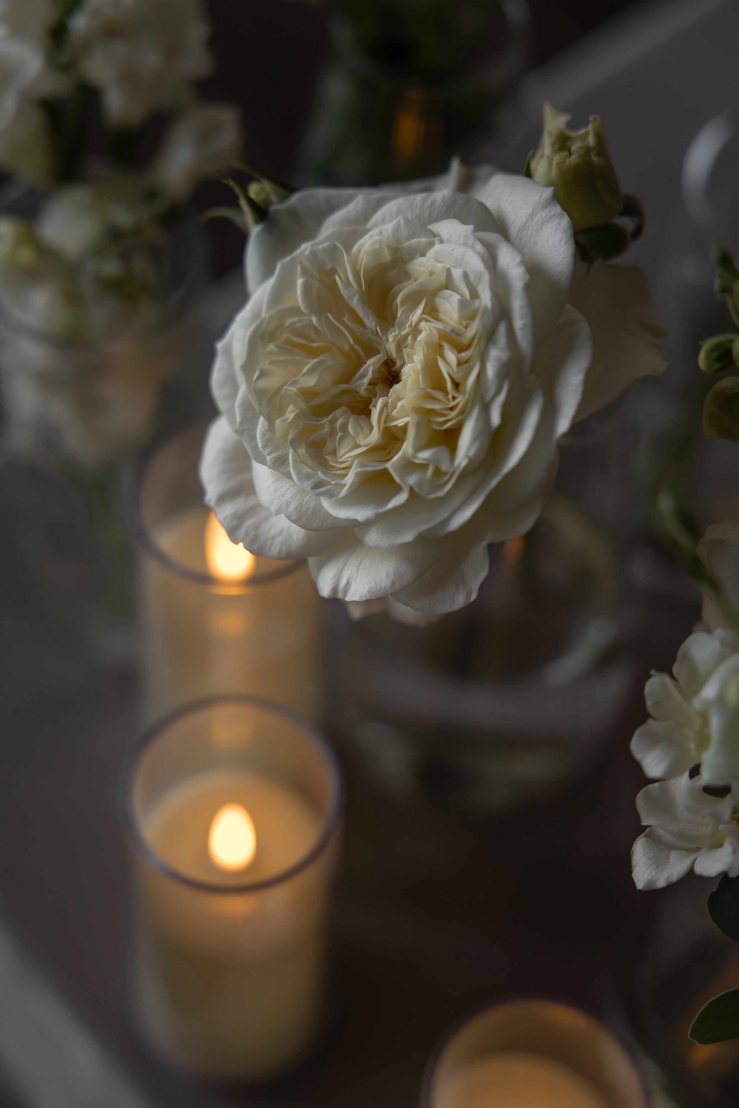 Николай и Татьяна. Свадебный и Семейный фотограф по всему миру Анна Фёдорова