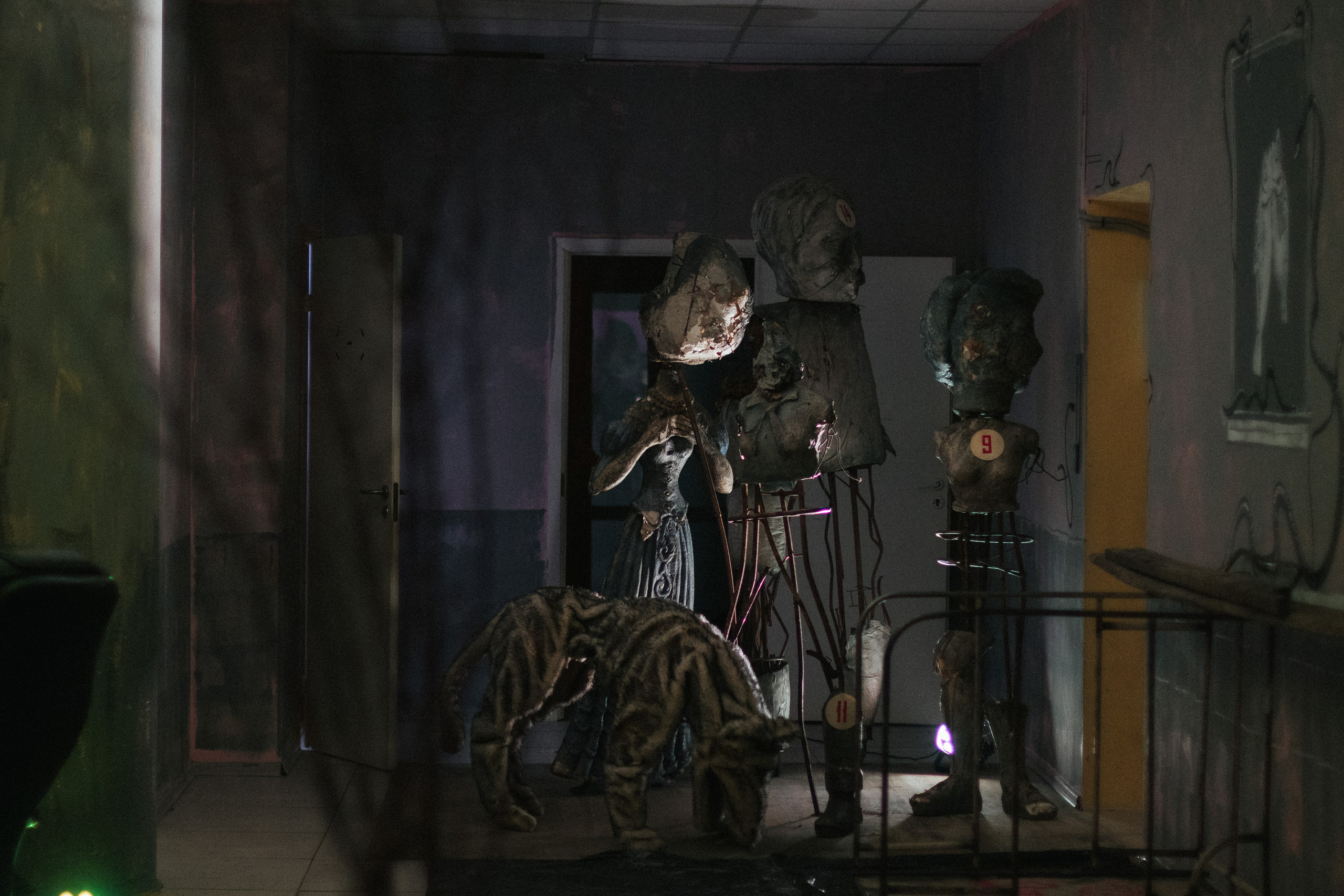 Фестивали, выставки. Коммерческий фотограф в Санкт-Петербурге (СПб) Екатерина Панчёха, Панчёшка