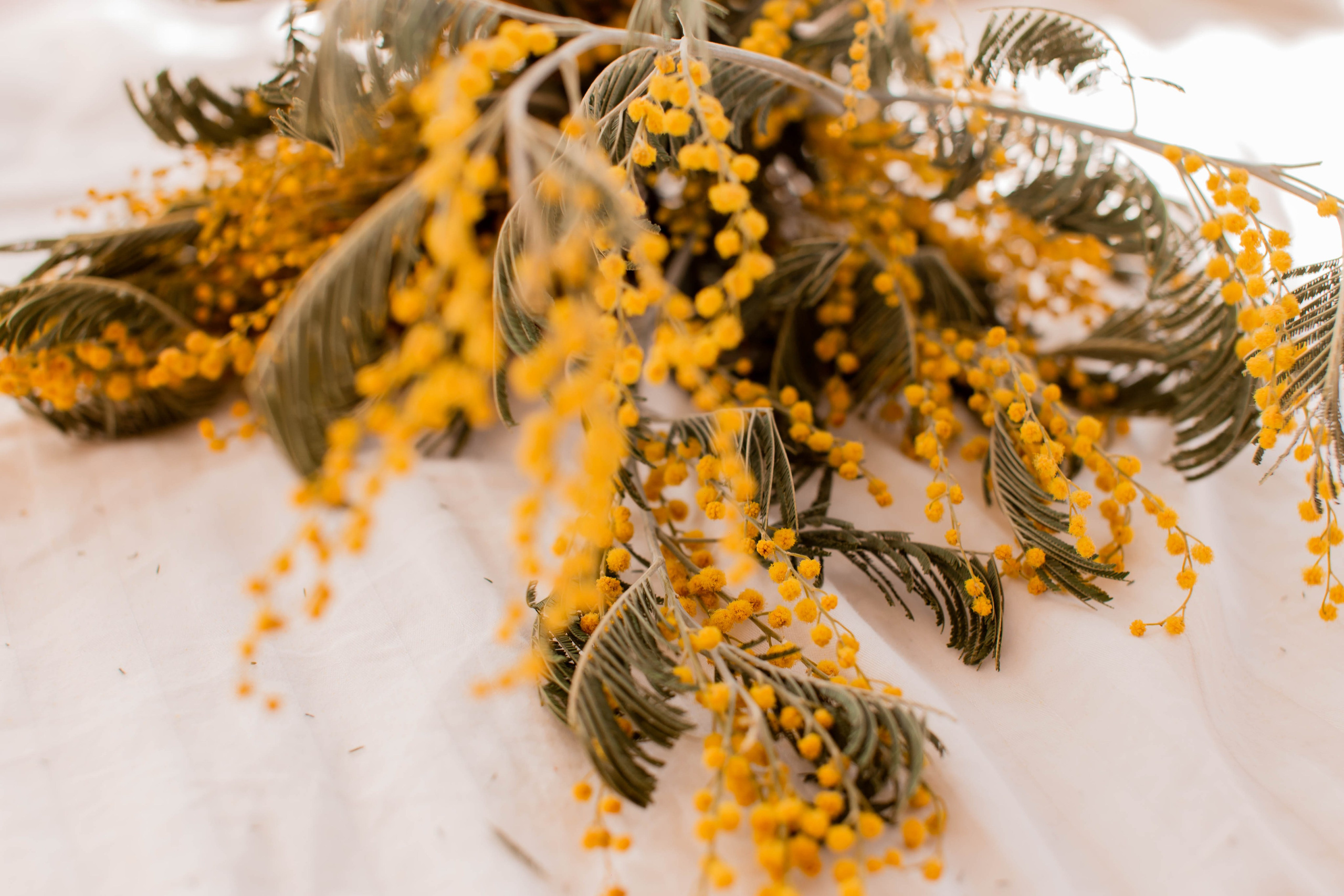 Вероника. ФОТОГРАФ ~ Виктория Ивченко ~ Старый Оскол