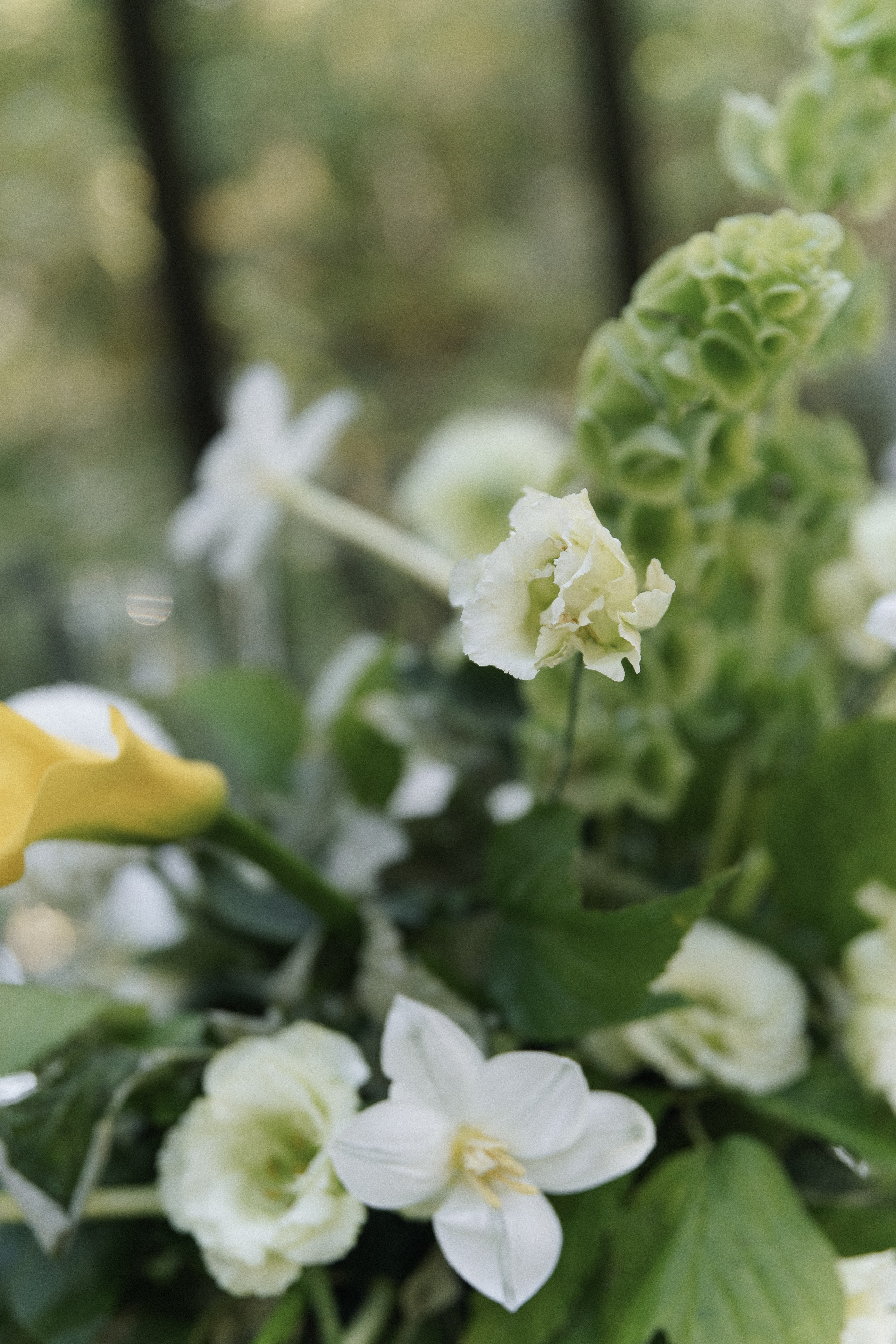 Свадьба в Forest Dew. Ярослава Ерина — свадебный фотограф в Москве