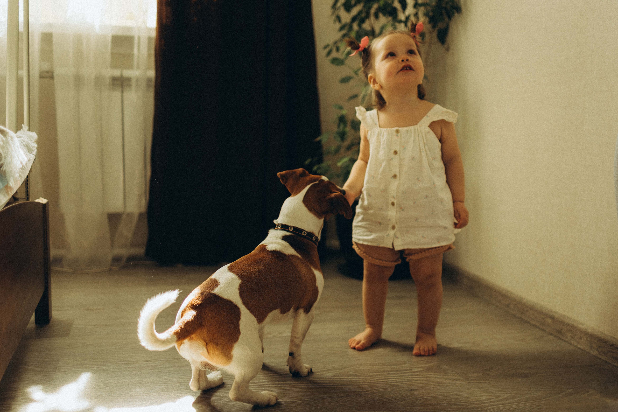 Семейная / Домашняя. Анна Лобастова | Фотограф для особенных мгновений ❤ Москва Люберцы