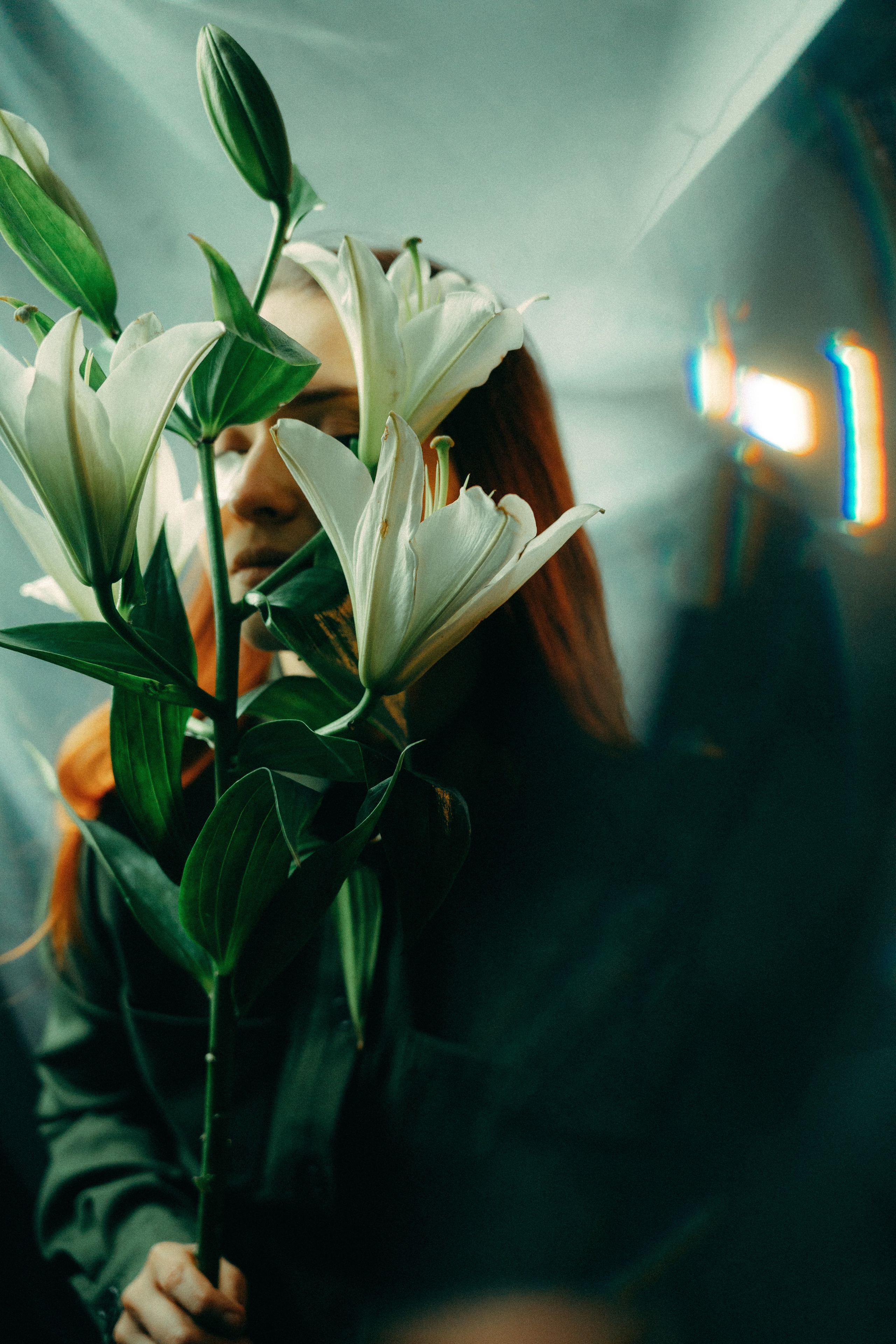 Лилии. Фотограф Москва