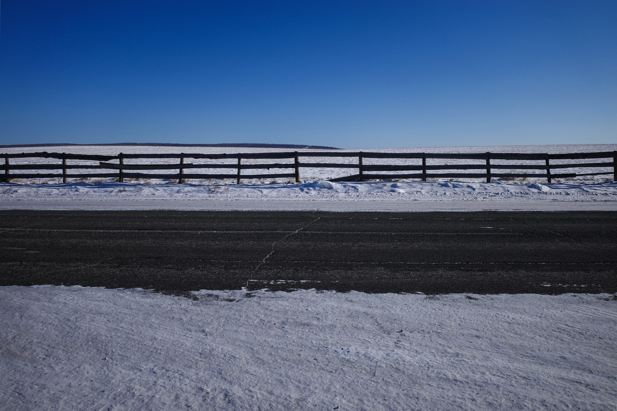 Безмолвие пустоши. Междисциплинарный художник Екатерина Старовойтова