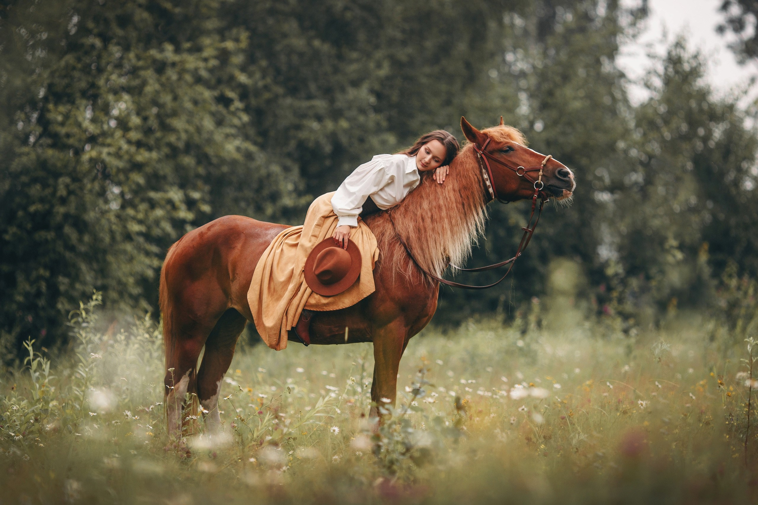 Анна Молчанова конный фотограф в Тюмени | фотосессии с лошадьми Тюмень