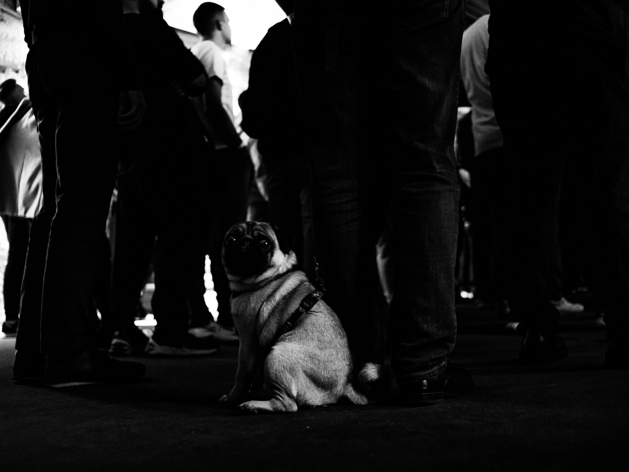 Роад трип TRNA СПБ-Москва 2021. Фотограф Мария Немм