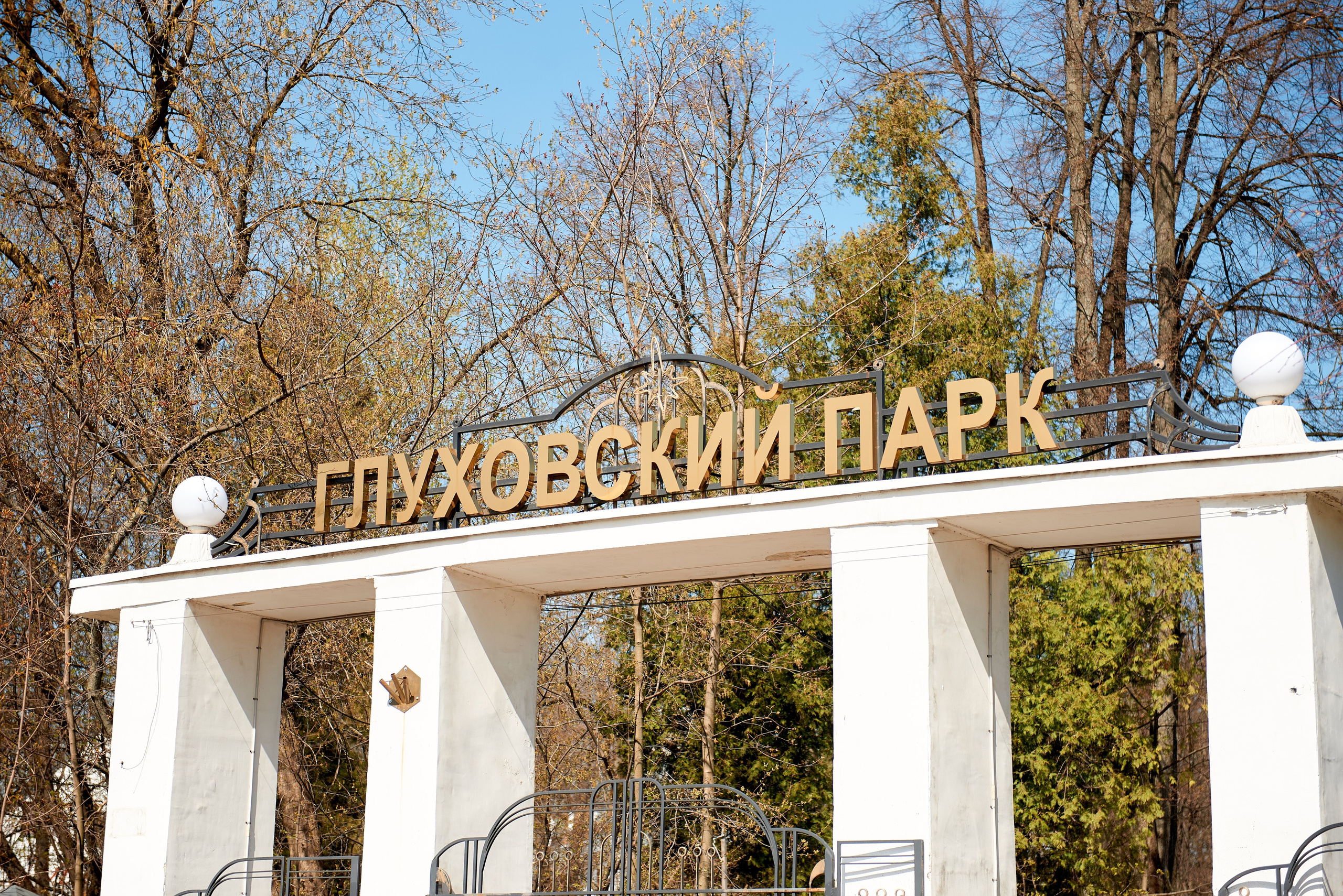 В & Я. Семейный и детский фотограф в г. Ногинске Ангелина Хасанова