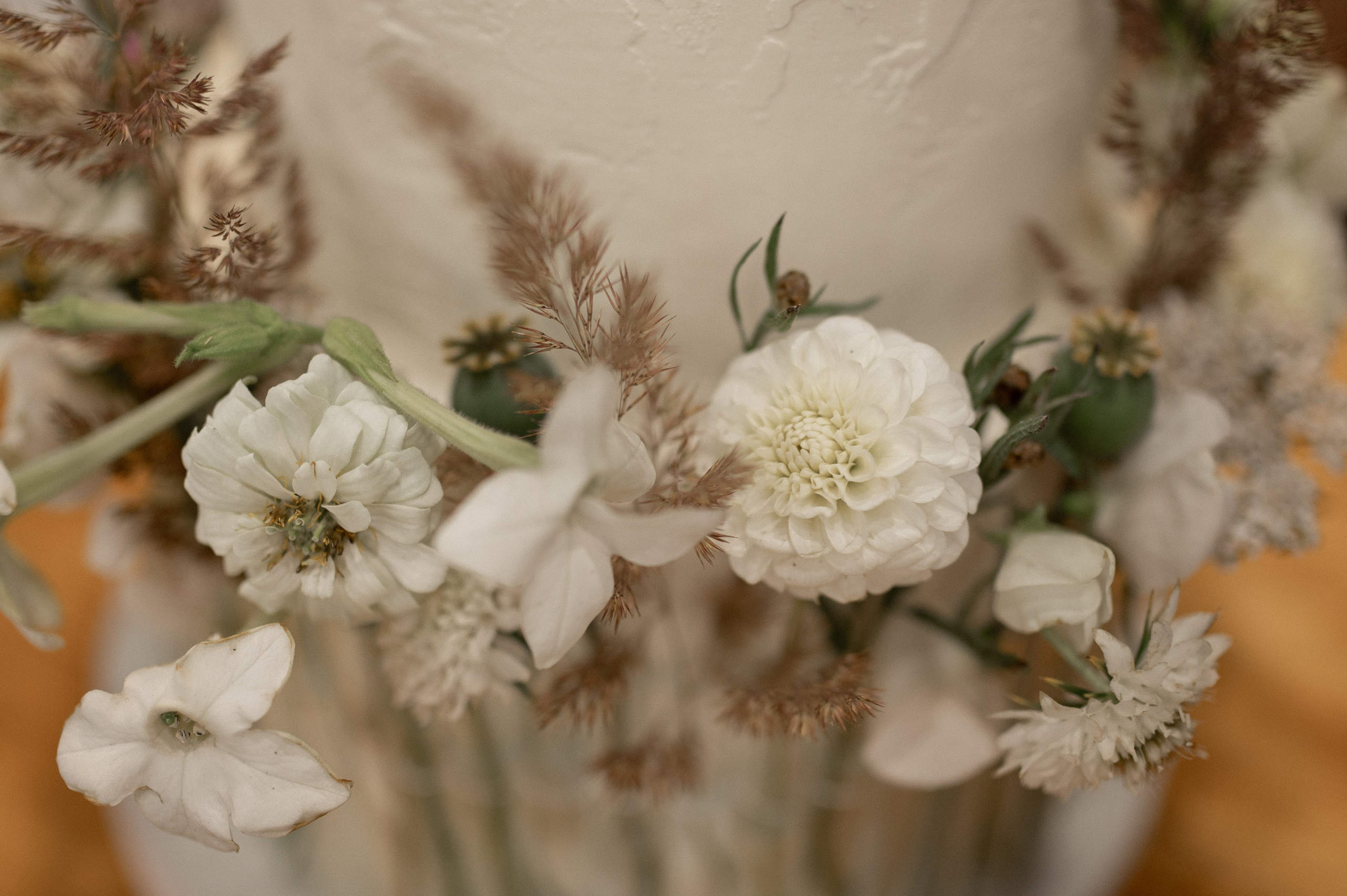 Коля & Вика. Оформление свадеб, декор свадеб Вера Маркова, Москва