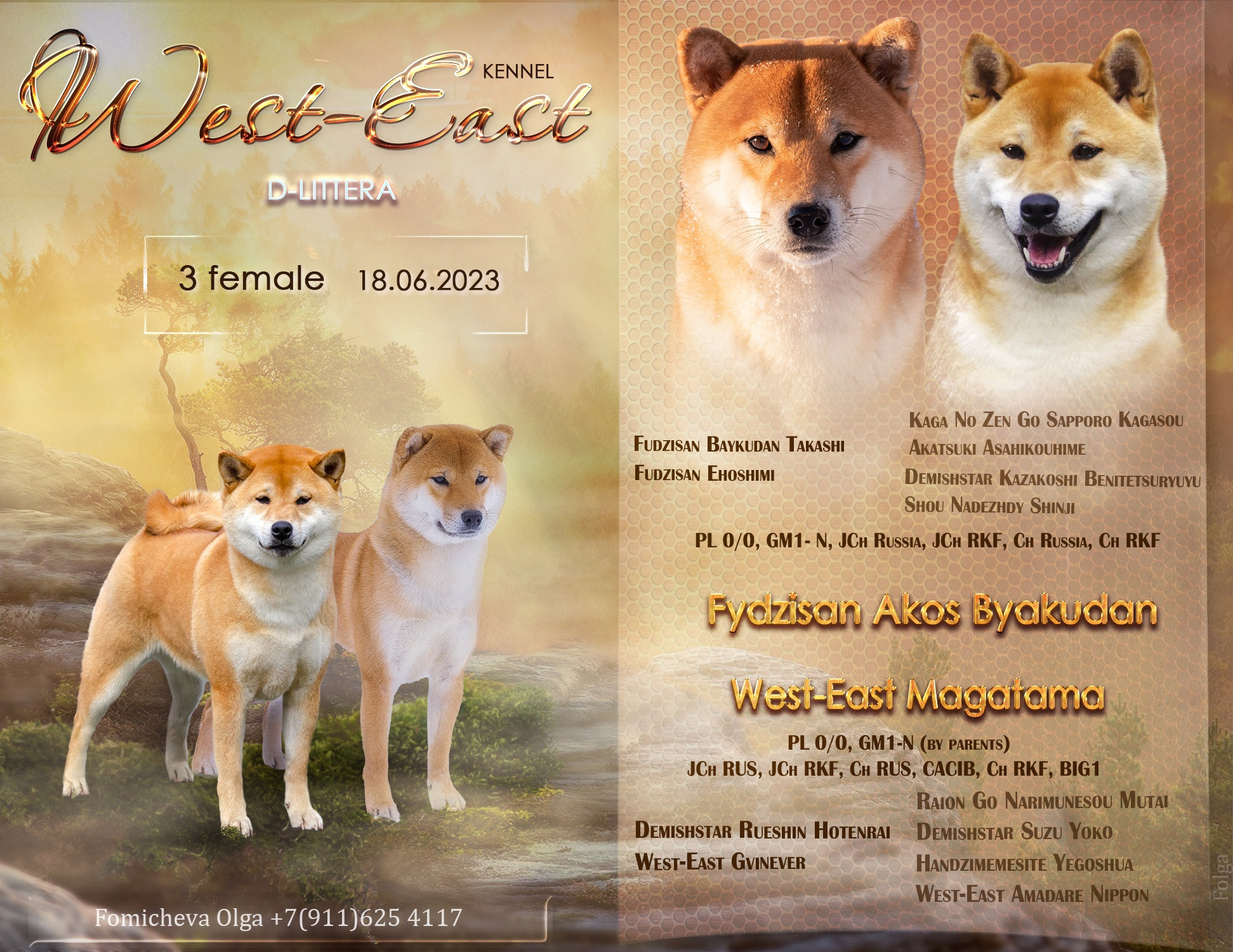 ПРЕЗЕНТАЦИИ. Фотограф-анималист Ольга Фомичева