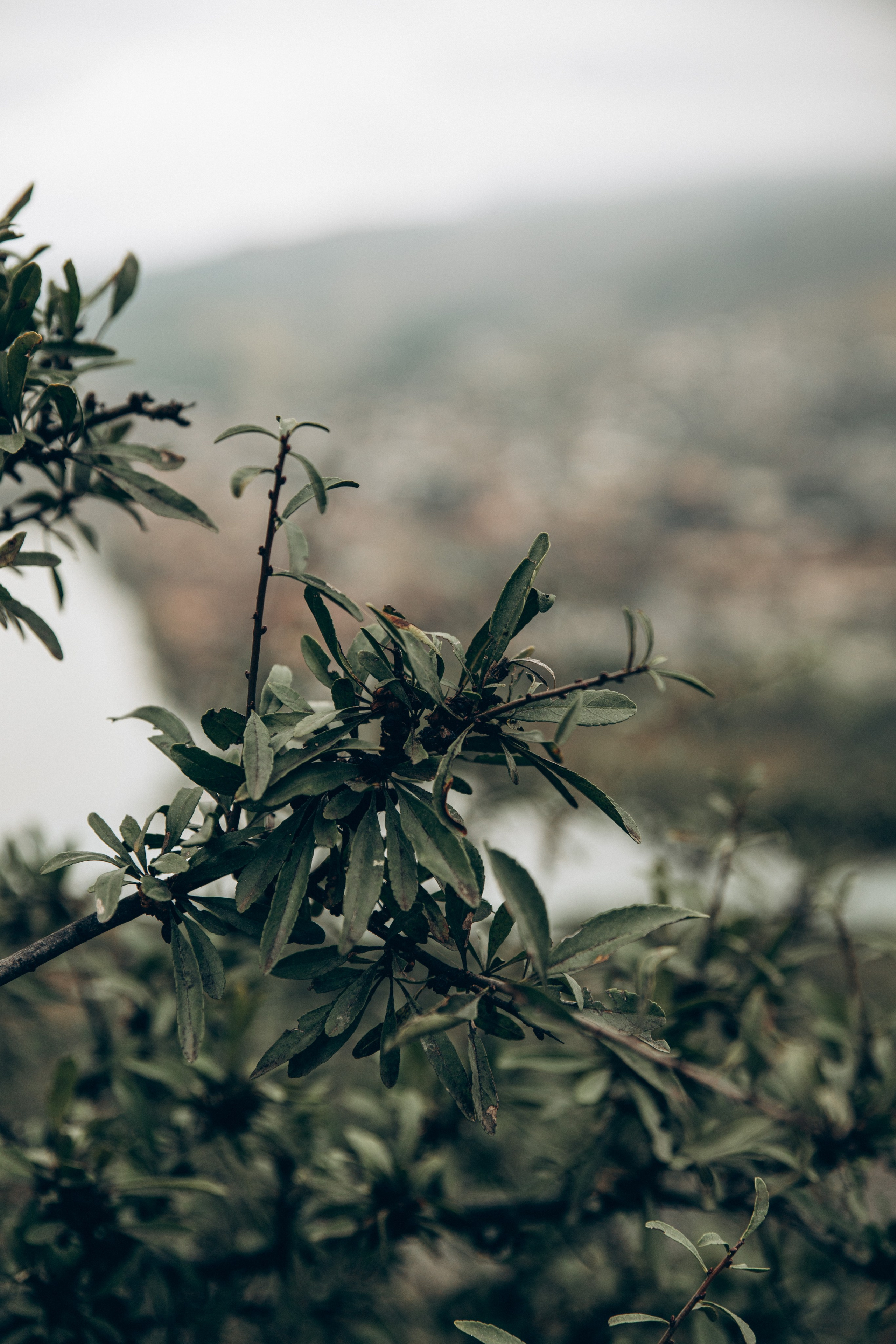 Грузия. Репортажный и детский фотограф в Минске