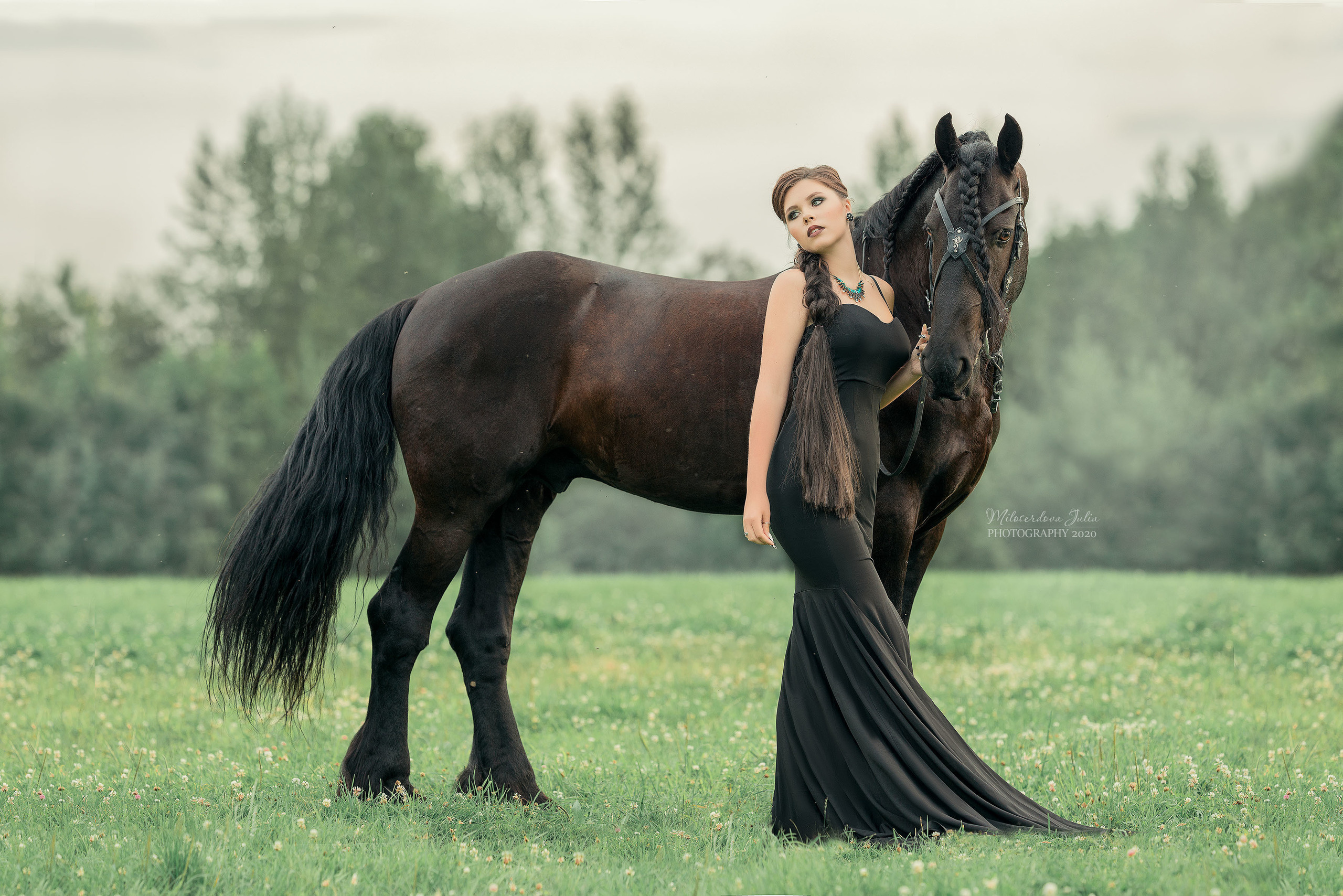 Фотосессии с лошадьми. Фотограф Юлия Милосердова