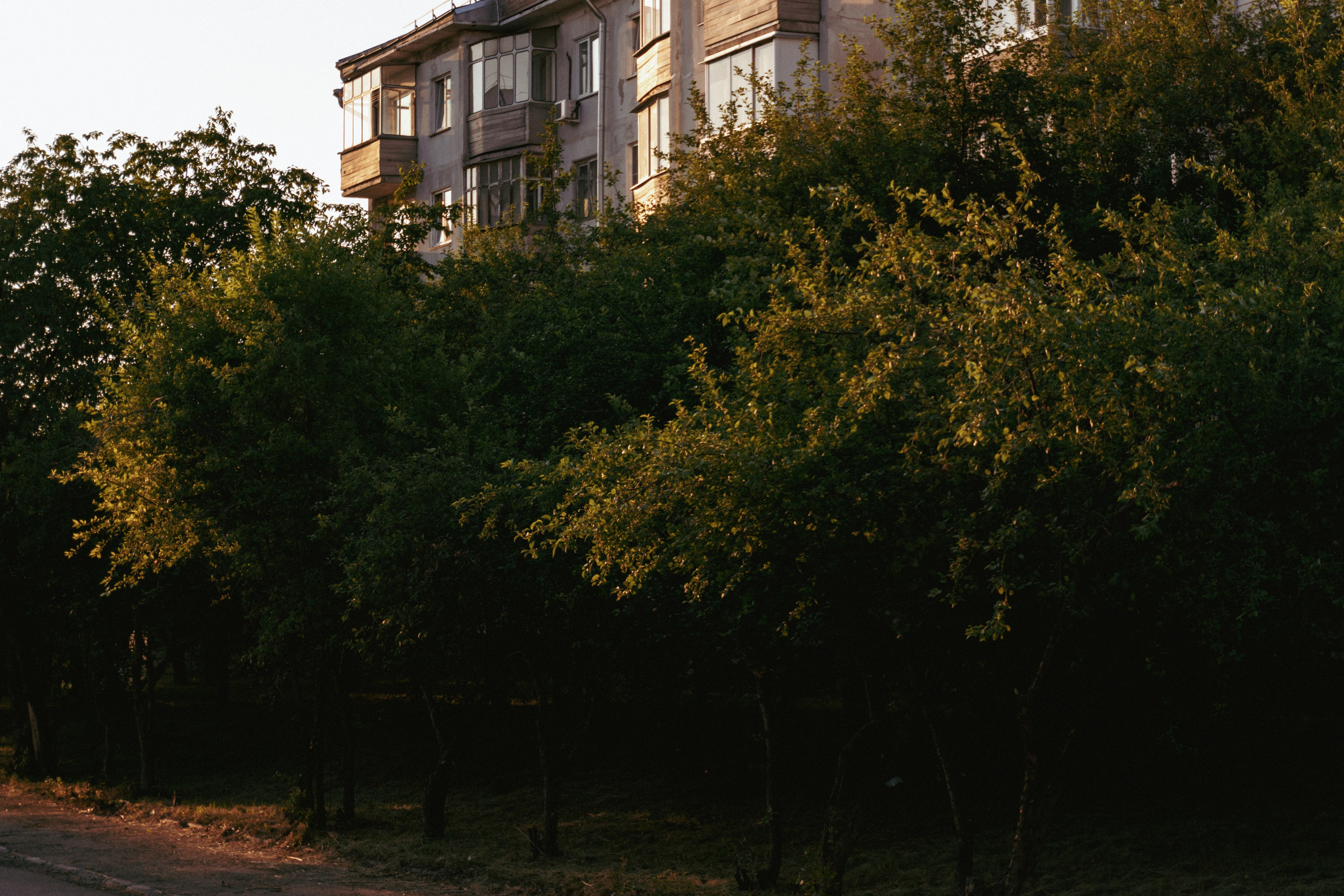 06.07.2025 | Сосновоборск. Kuznetsov | Фотограф в Красноярске