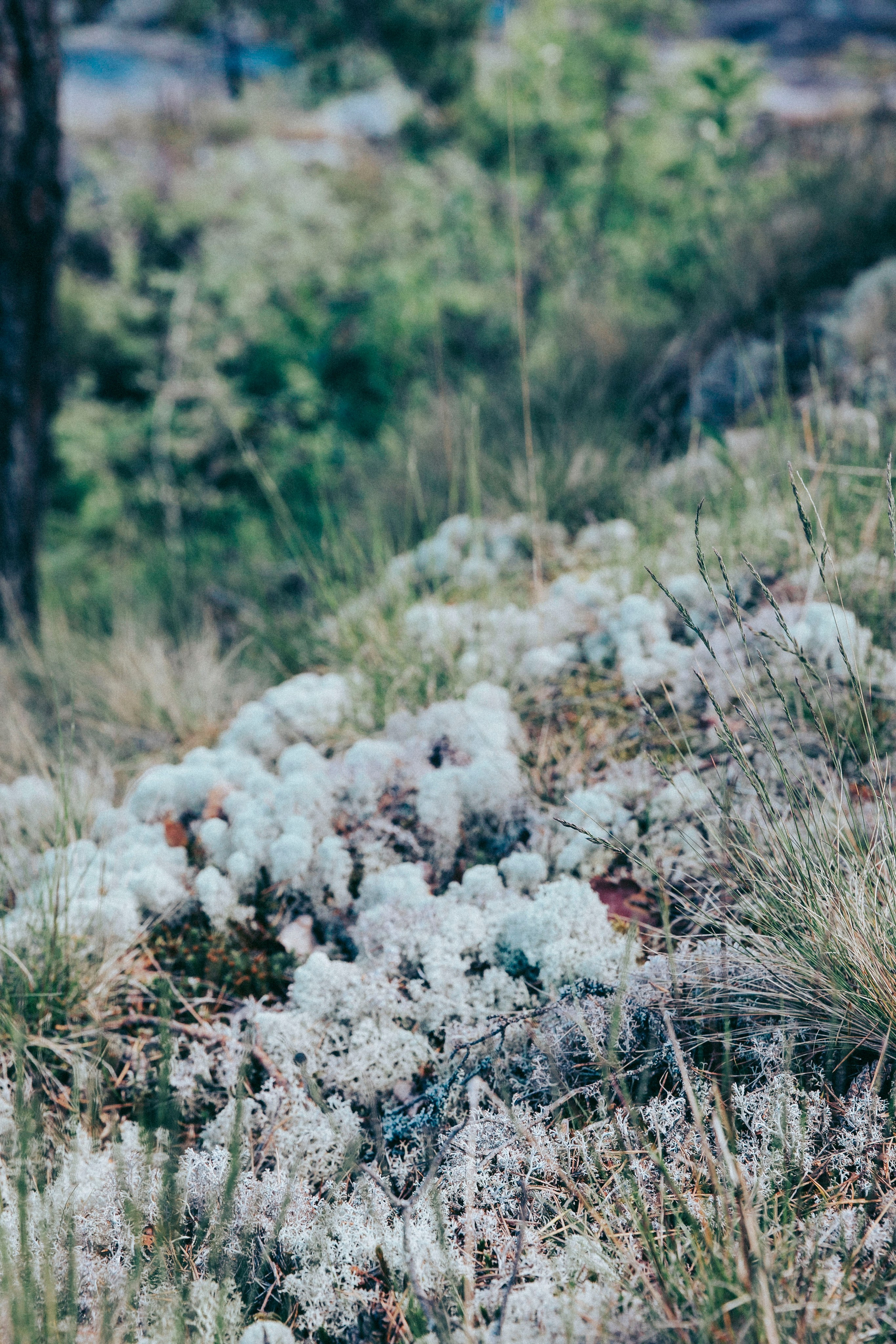 Папа и дочка. Фотограф в Москве Шаганова Нина