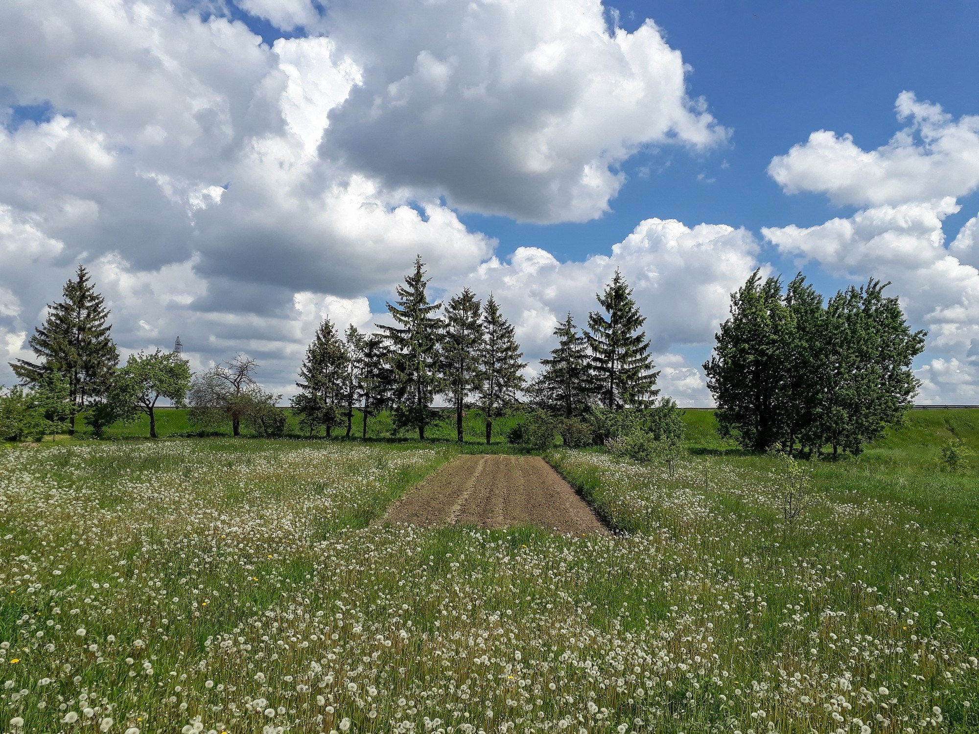 Home.land. Künstler Verstecktoff