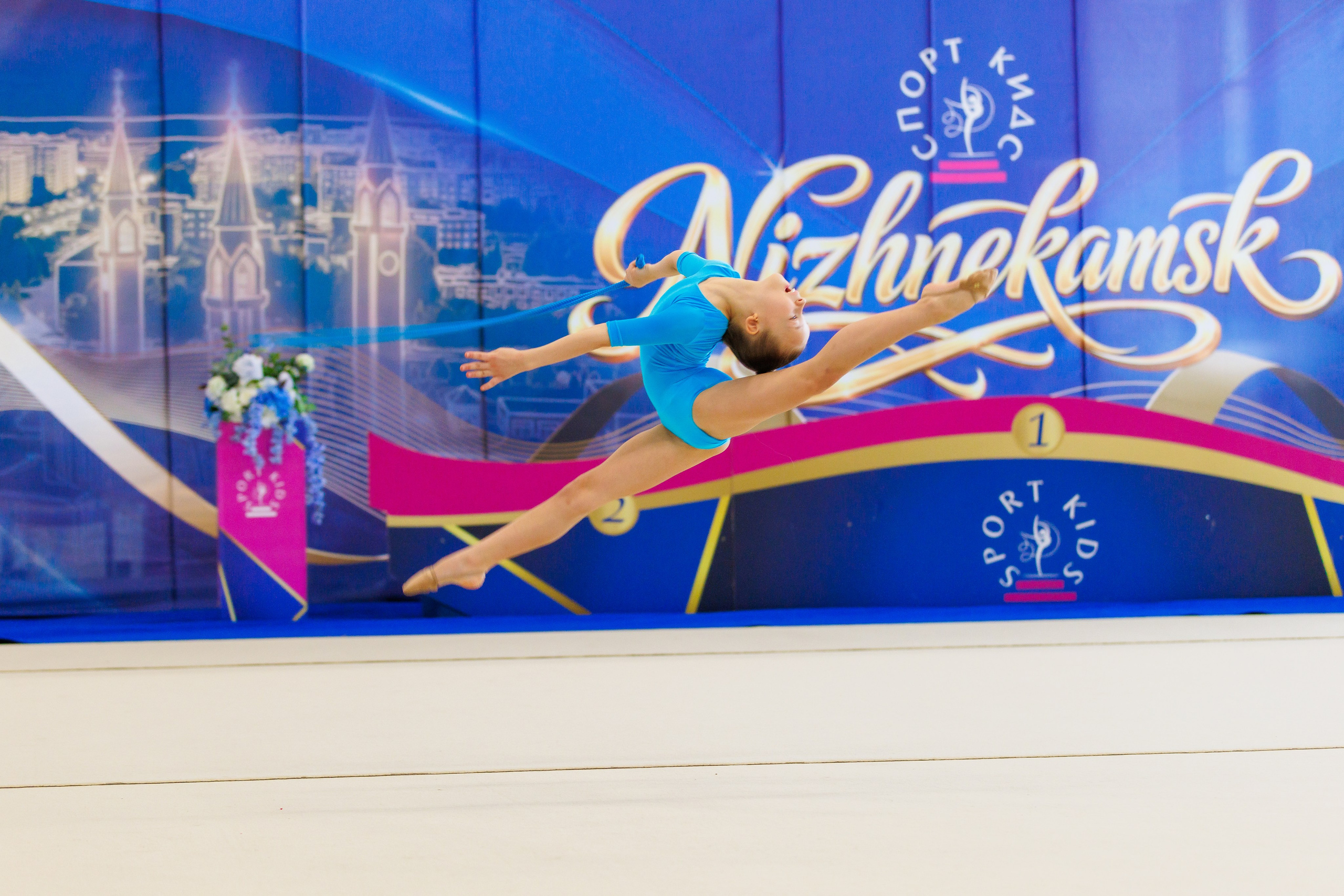 Художественная гимнастика